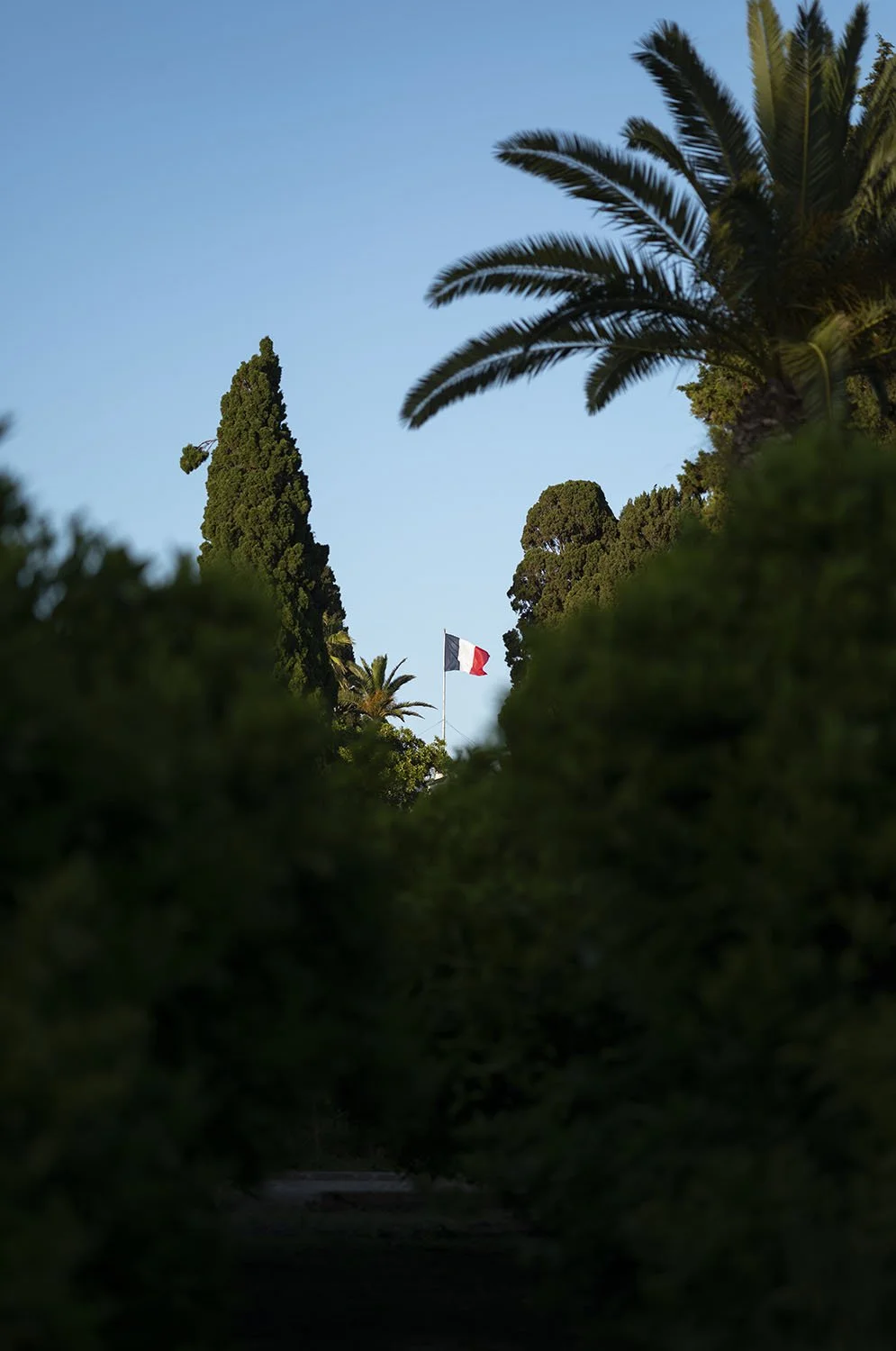 JARDINS DAR KAMILA - 0750.jpg