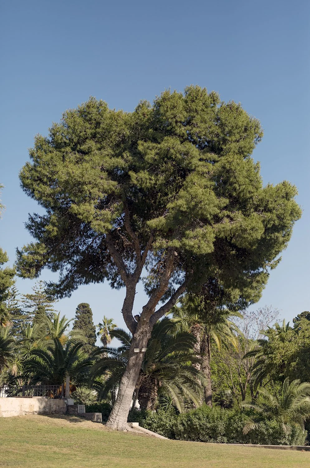 JARDINS DAR KAMILA - 0585.jpg
