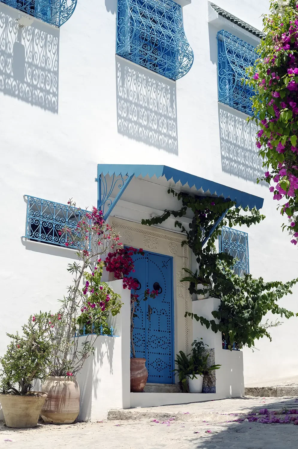 Studio Zembra - sidi bou said.webp