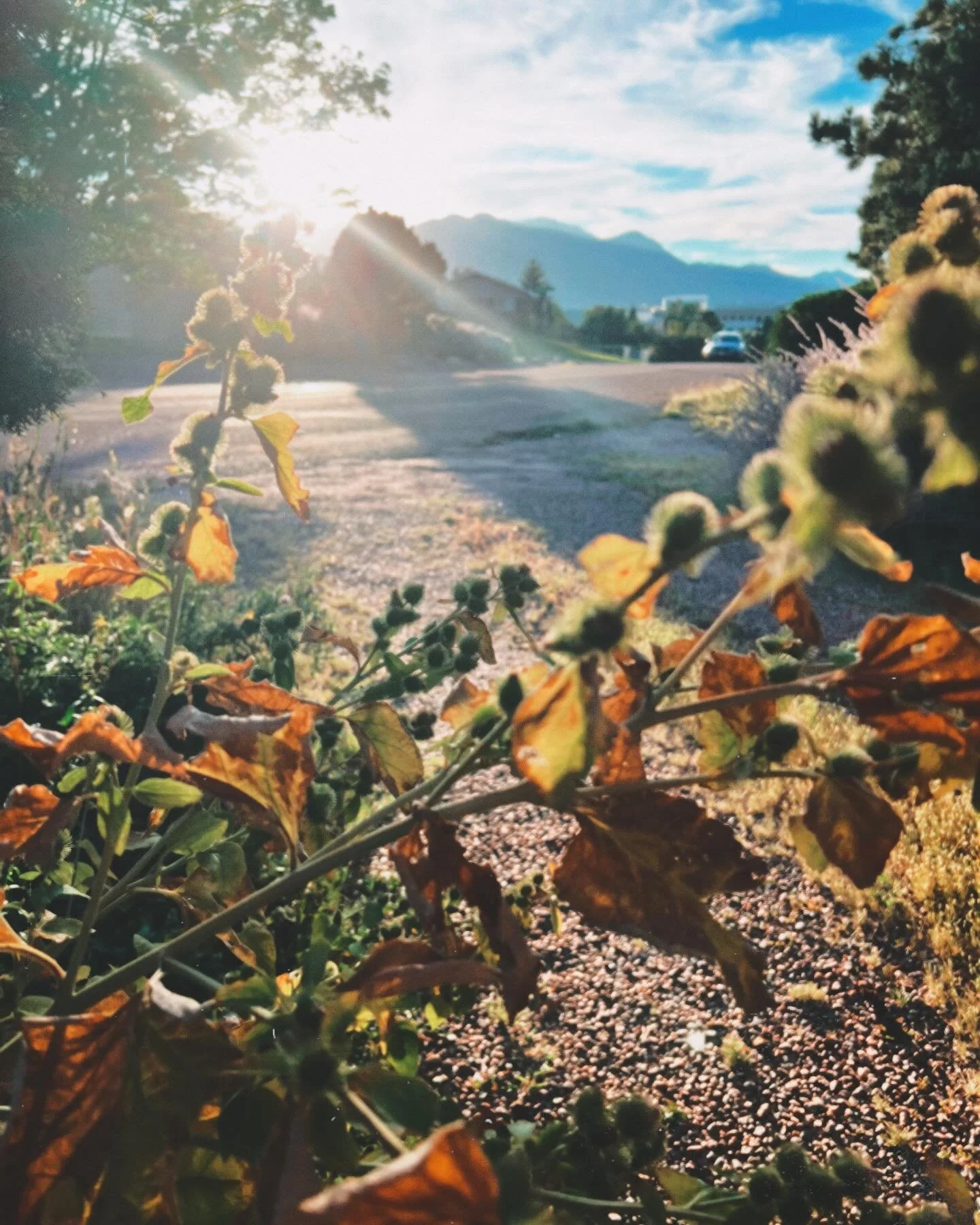 with the sage and the treats and the summer sun and I know love is here always, if you see her, make room for her, receive her 
It&rsquo;s the simple moments that call me back to Her heart, because love isn&rsquo;t complicated, isn&rsquo;t extravagan