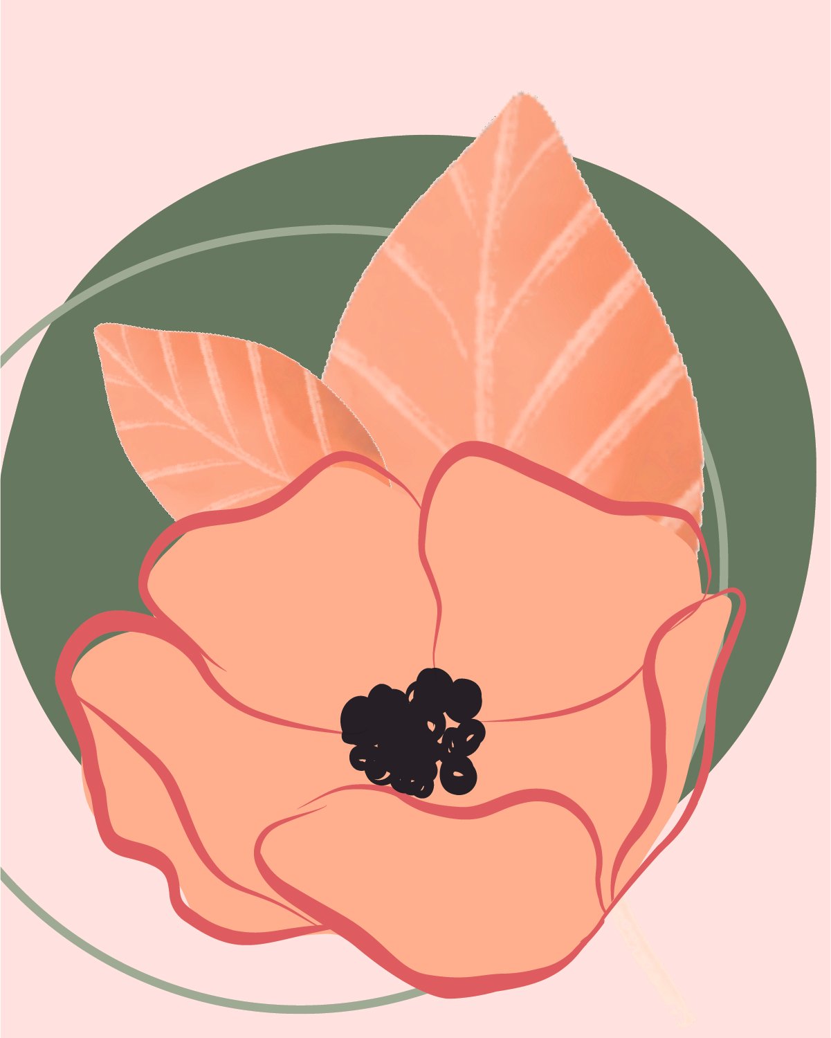 Peach-04.jpg