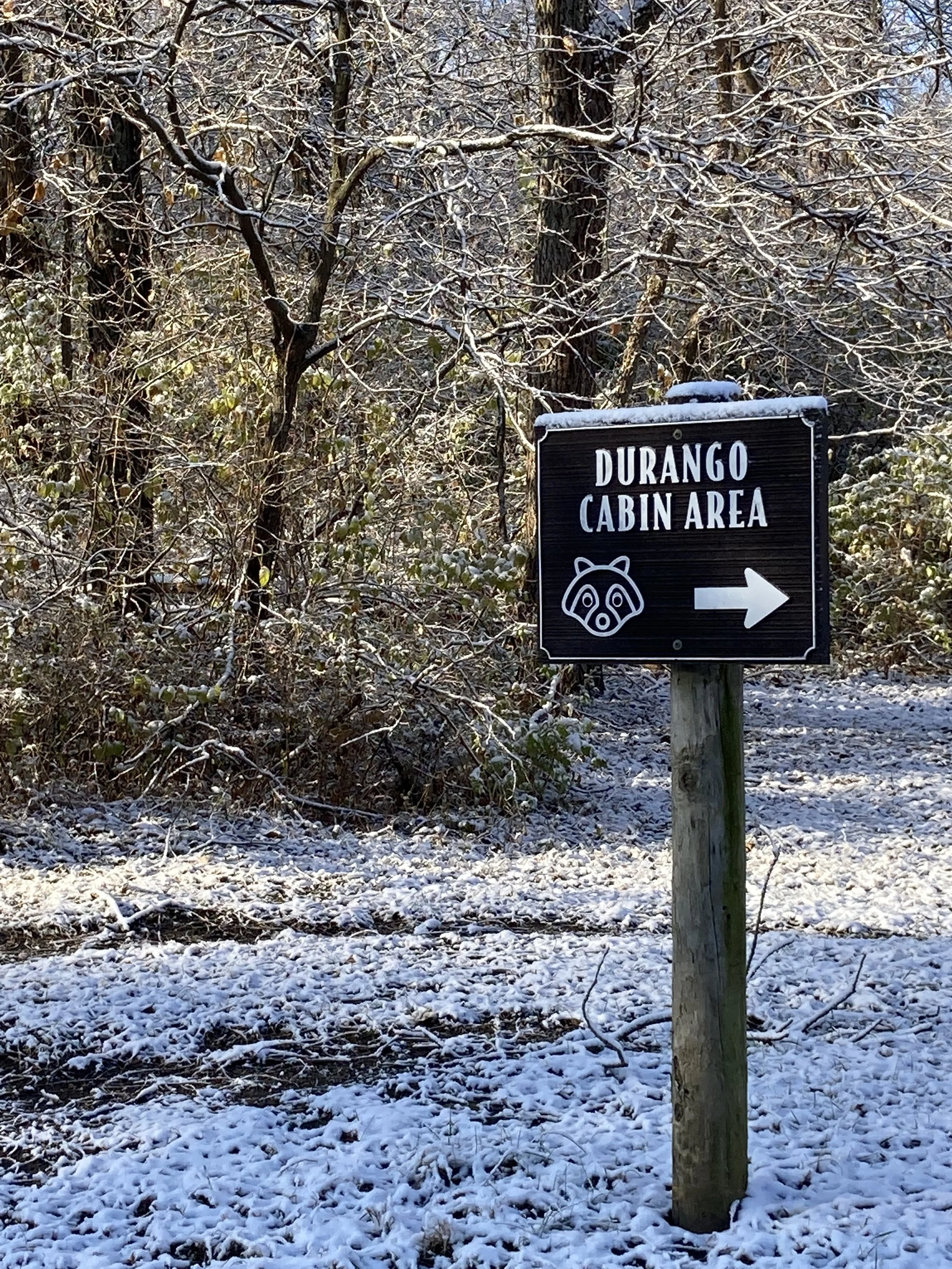 Photo Nov 15 2022, 9 01 38 AM.jpg