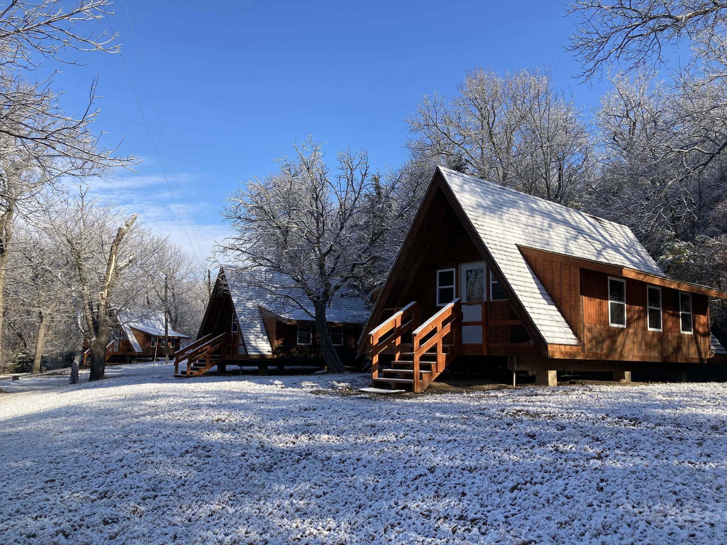 Photo Nov 15 2022, 9 06 07 AM.jpg