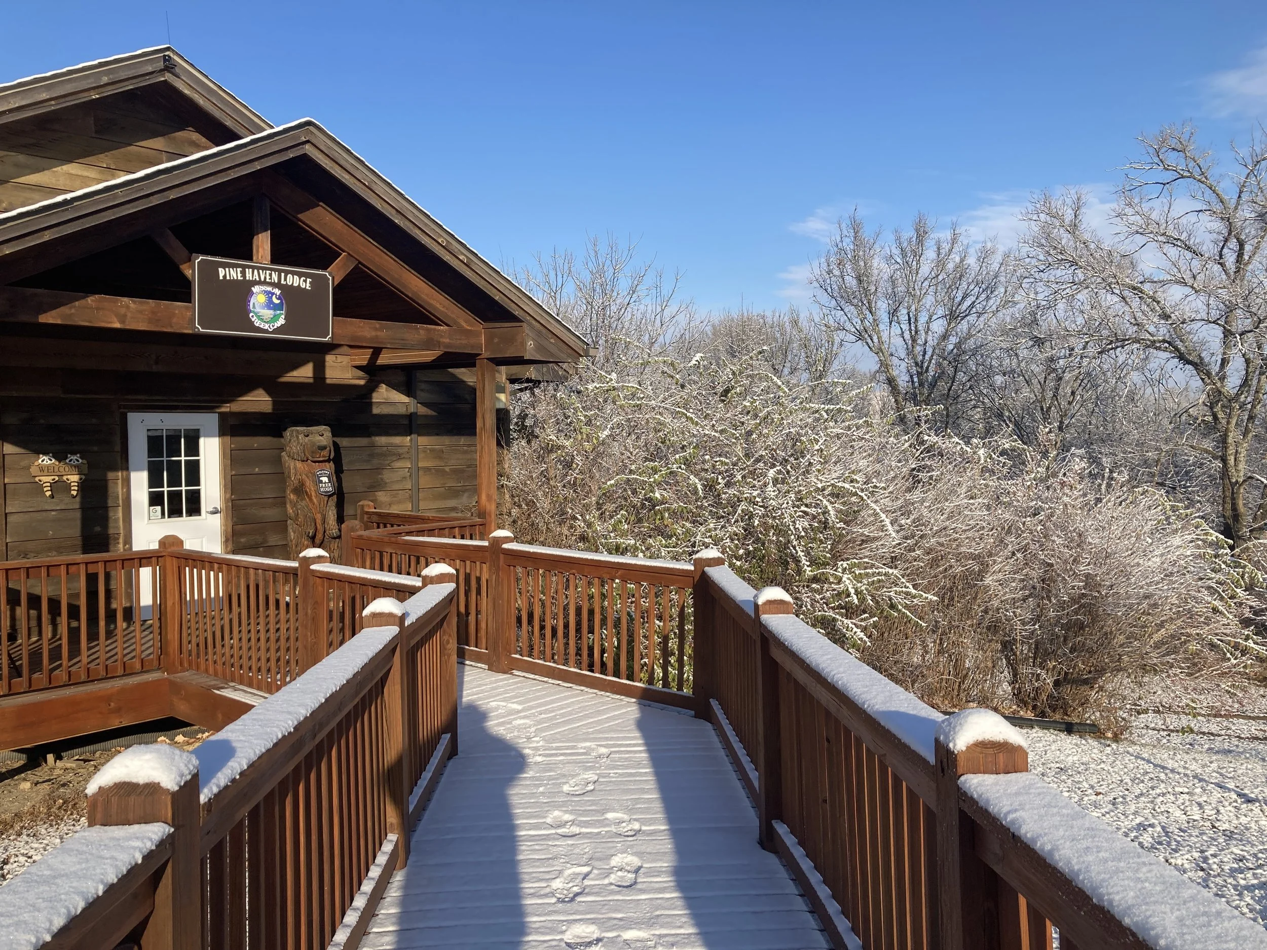 Photo Nov 15 2022, 8 46 06 AM.jpg