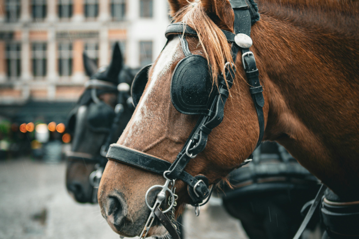 Rethinking Custody: Moving Beyond Gender Bias and Toward Equal Parenting&nbsp;