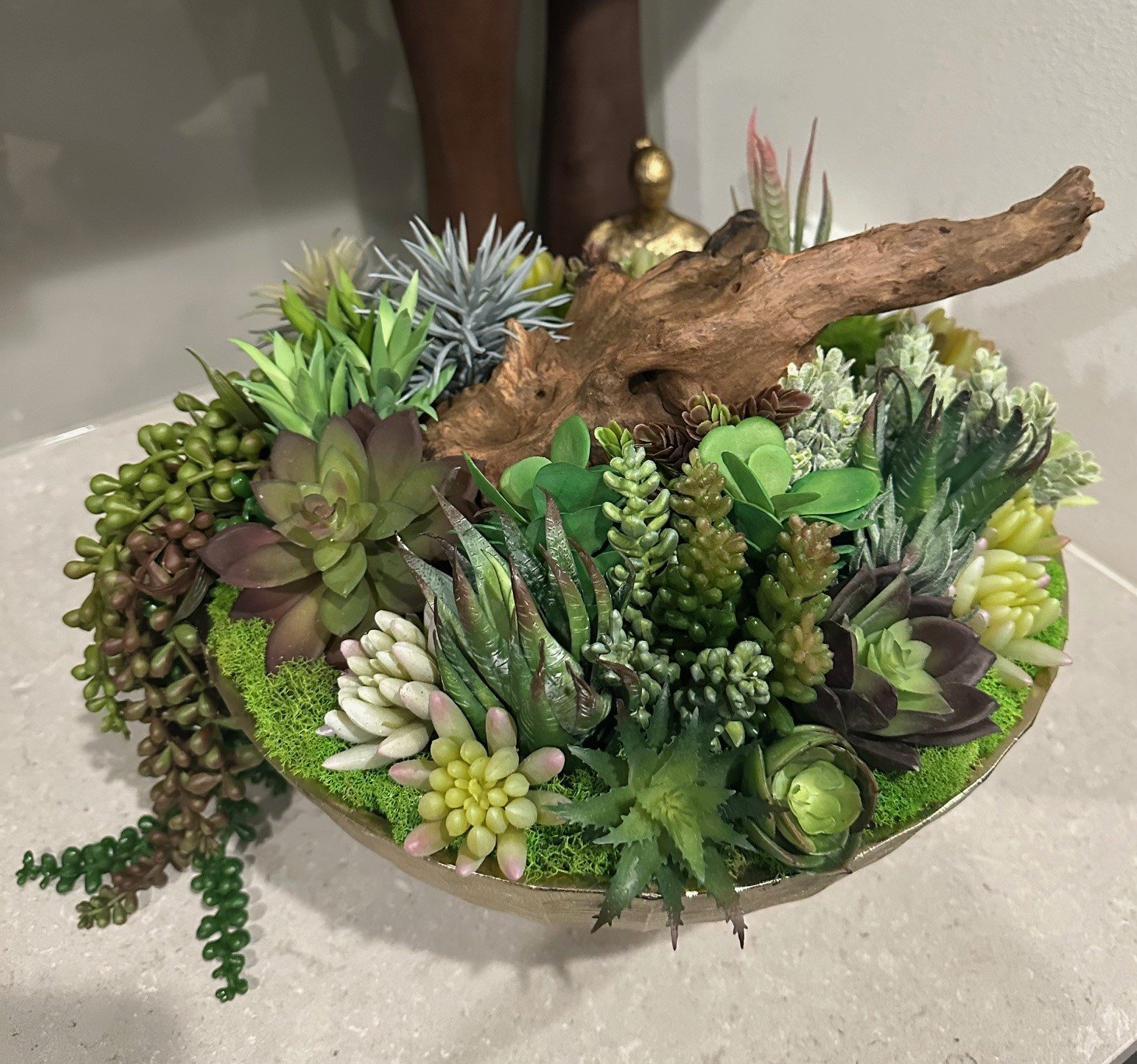 Succulent Design in Gold Metal and Wood Circular Vase - Isometric View 1