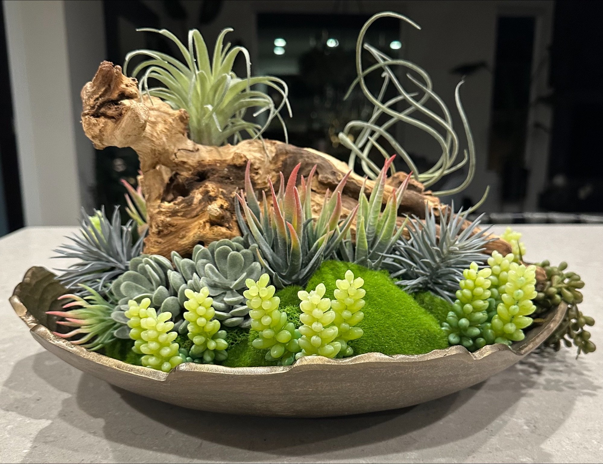 Succulent Design in Gold Circular Metal Vase - Side View 3