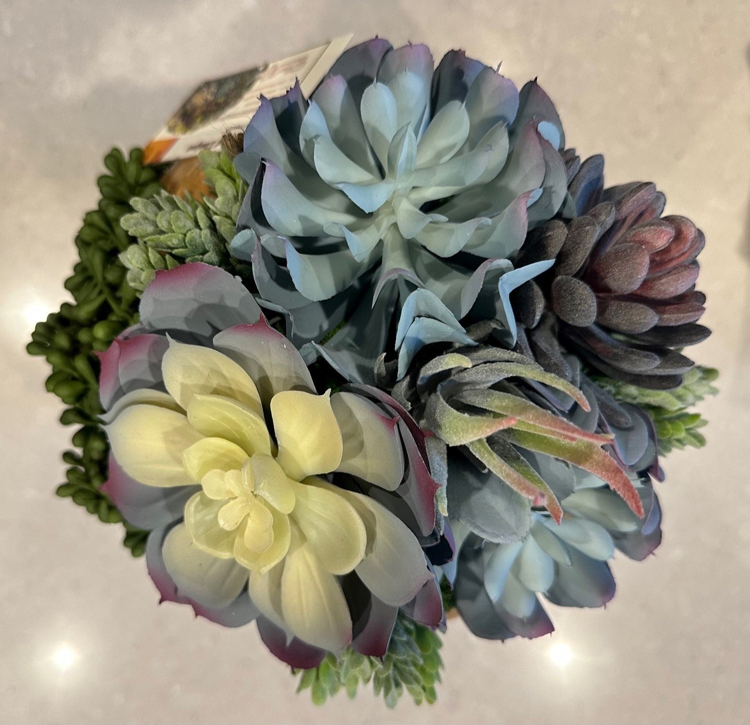 Succulent Design in Indonesian Wood Vase - Top View