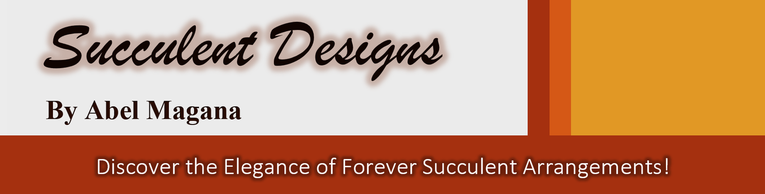 Succulent Designs by Abel Magana