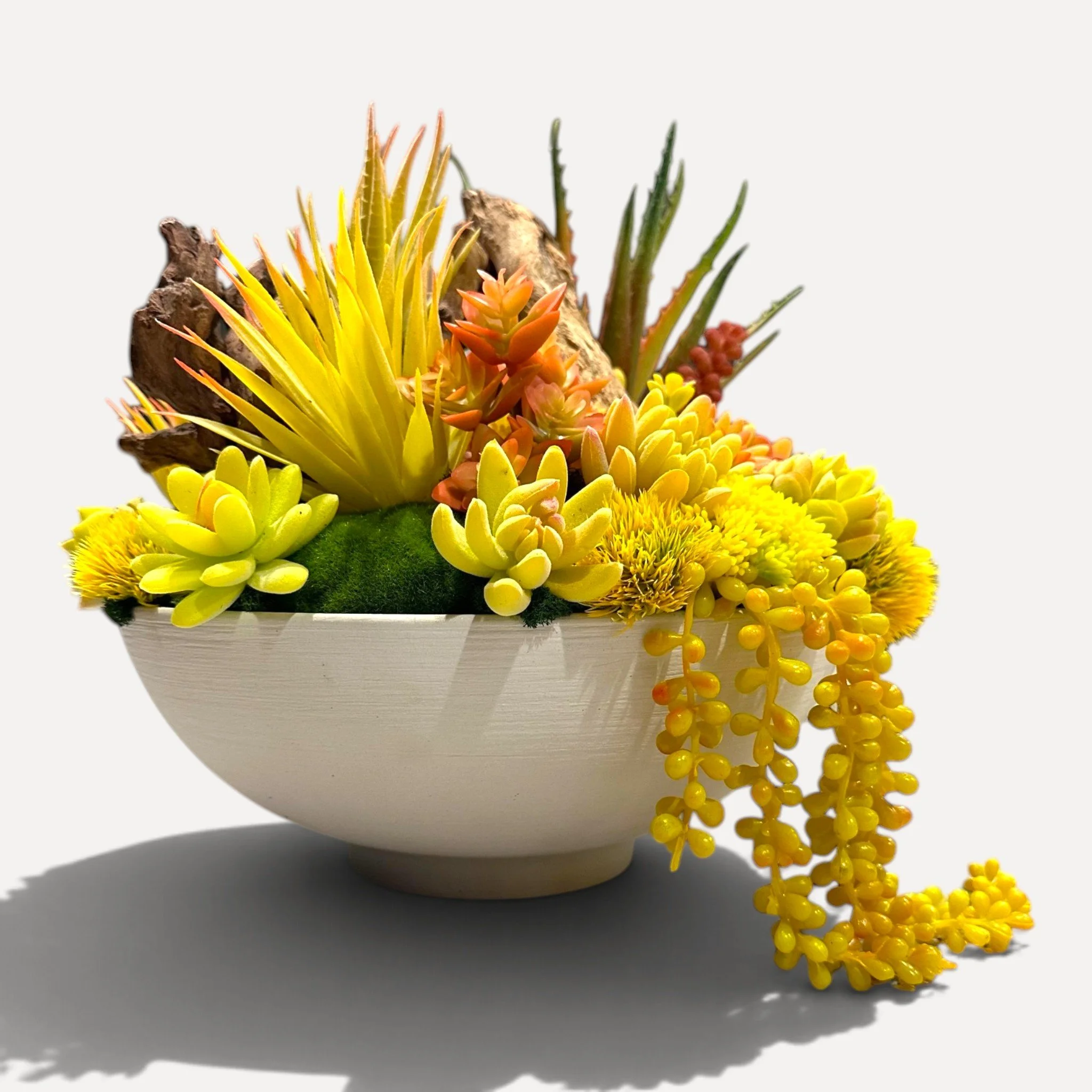 Photoroom_20240803_211700.jpg