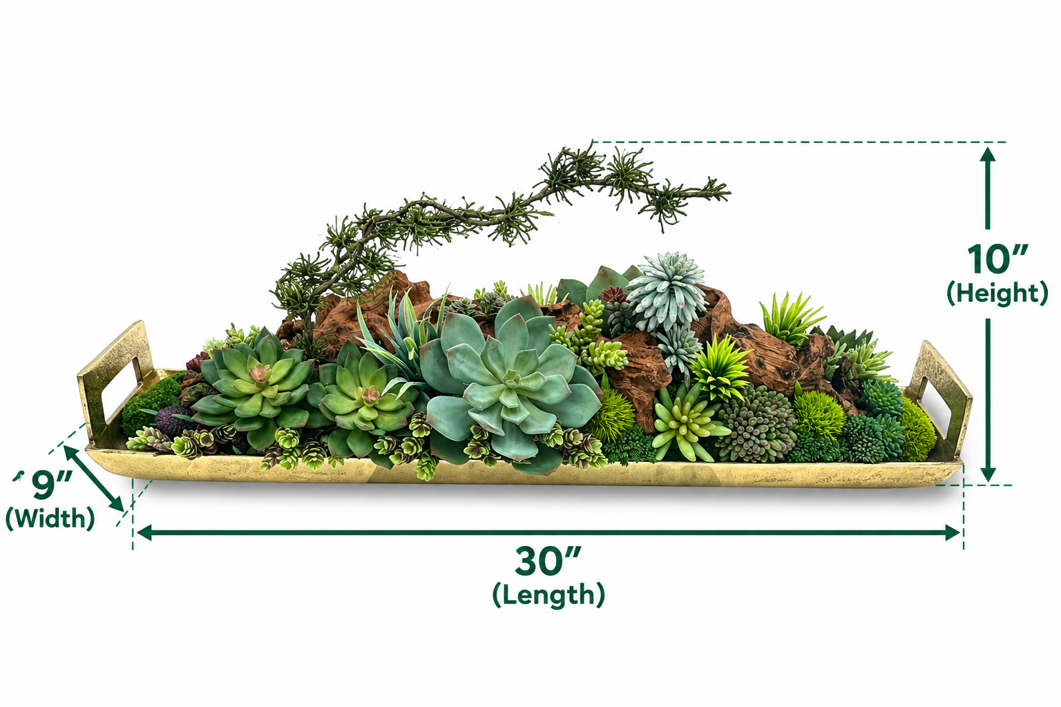 ChatGPT Image Sep 20, 2026, 05_02_33 PM.png