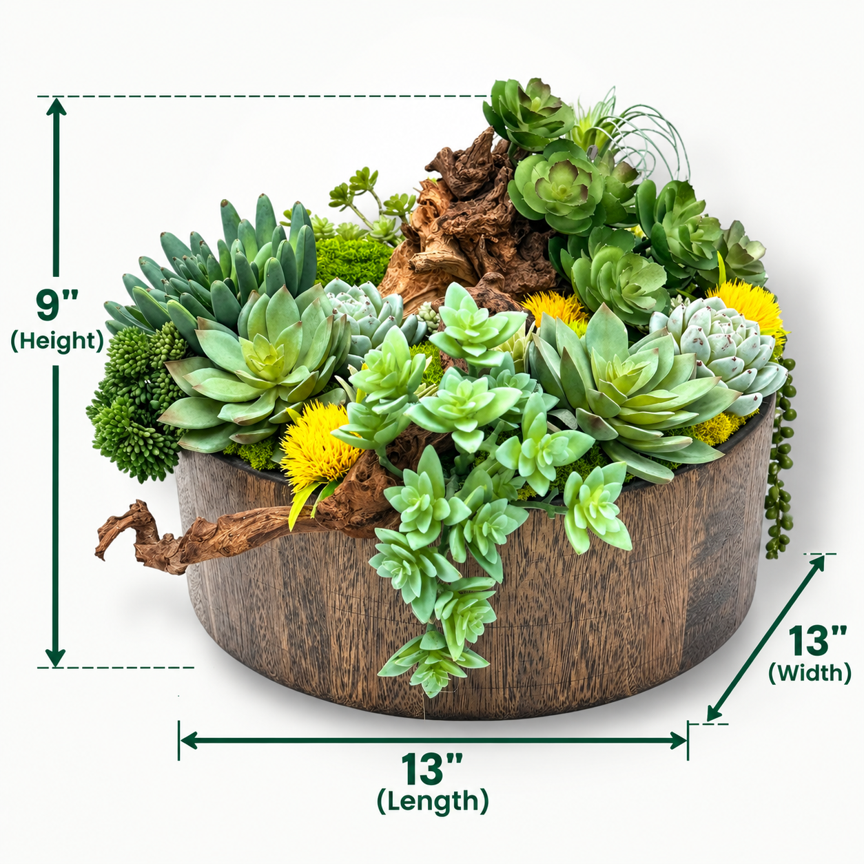 ChatGPT Image Sep 20, 2026, 04_55_29 PM.png