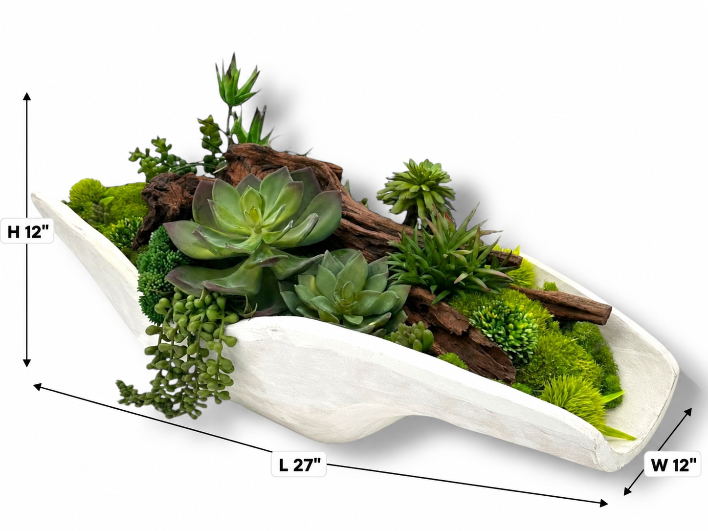 image (2).png