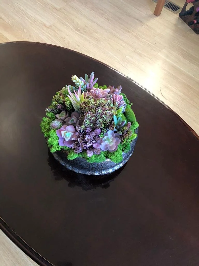 A decorative arrangement of various succulents in a silver, textured bowl with bright green moss around them, set on a light-colored surface with a white wall and electrical outlet in the background.