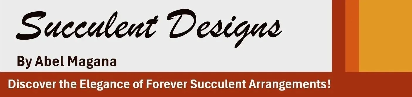 Succulent Designs by Abel Magana
