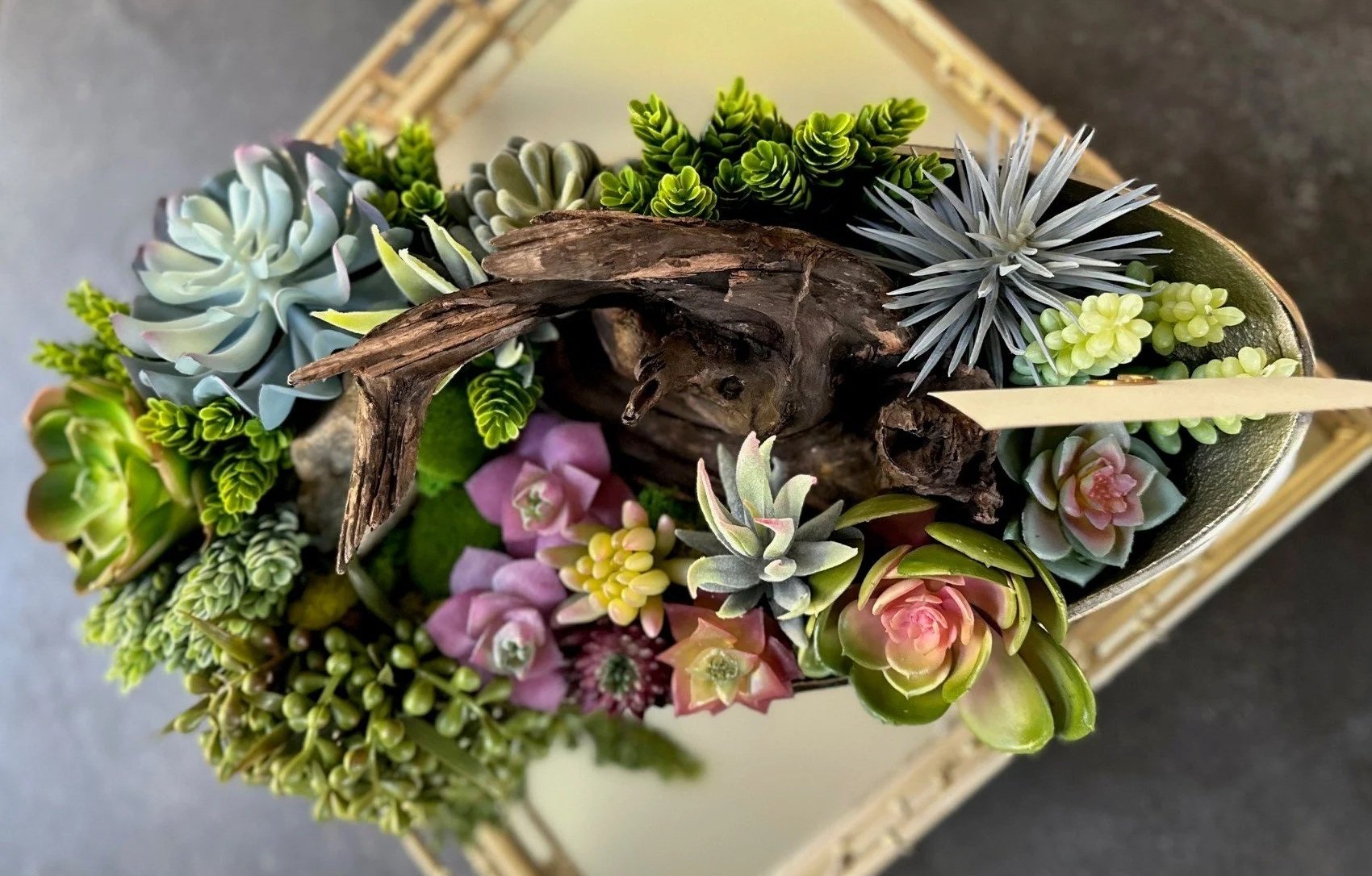 Succulents & Driftwood