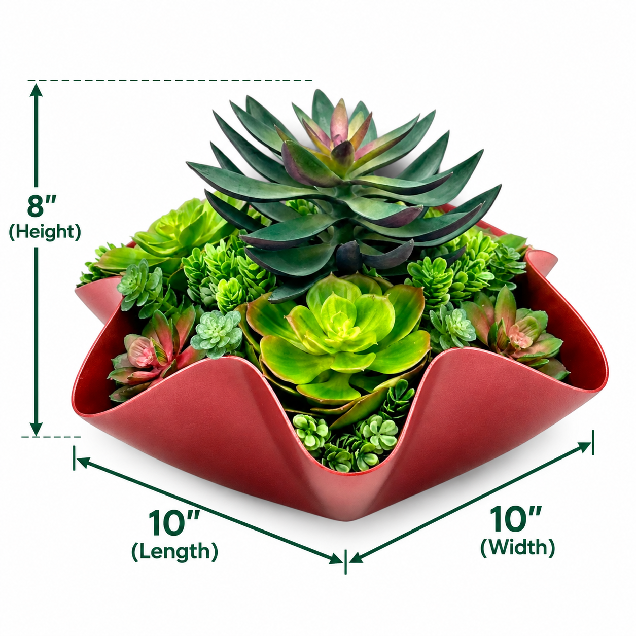 ChatGPT Image Sep 20, 2026, 04_57_05 PM.png