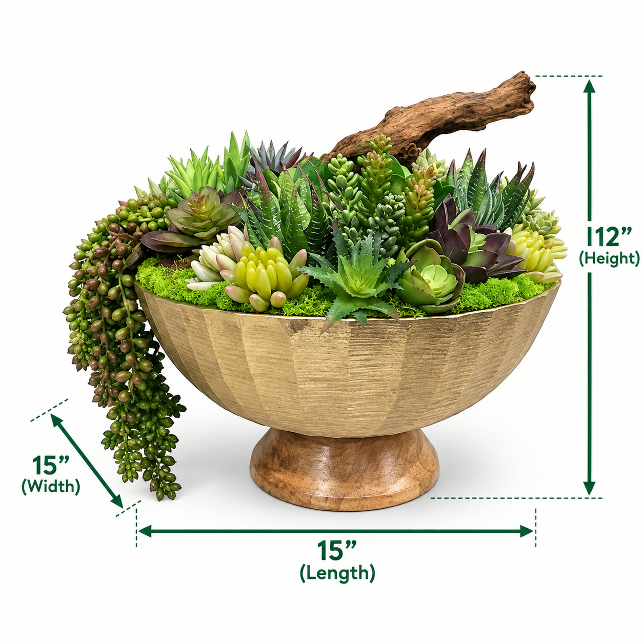 ChatGPT Image Sep 20, 2026, 05_04_47 PM.png