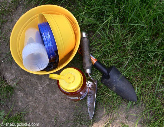 DIY Insect Collecting: Pan and Bait Traps — The Bug Chicks