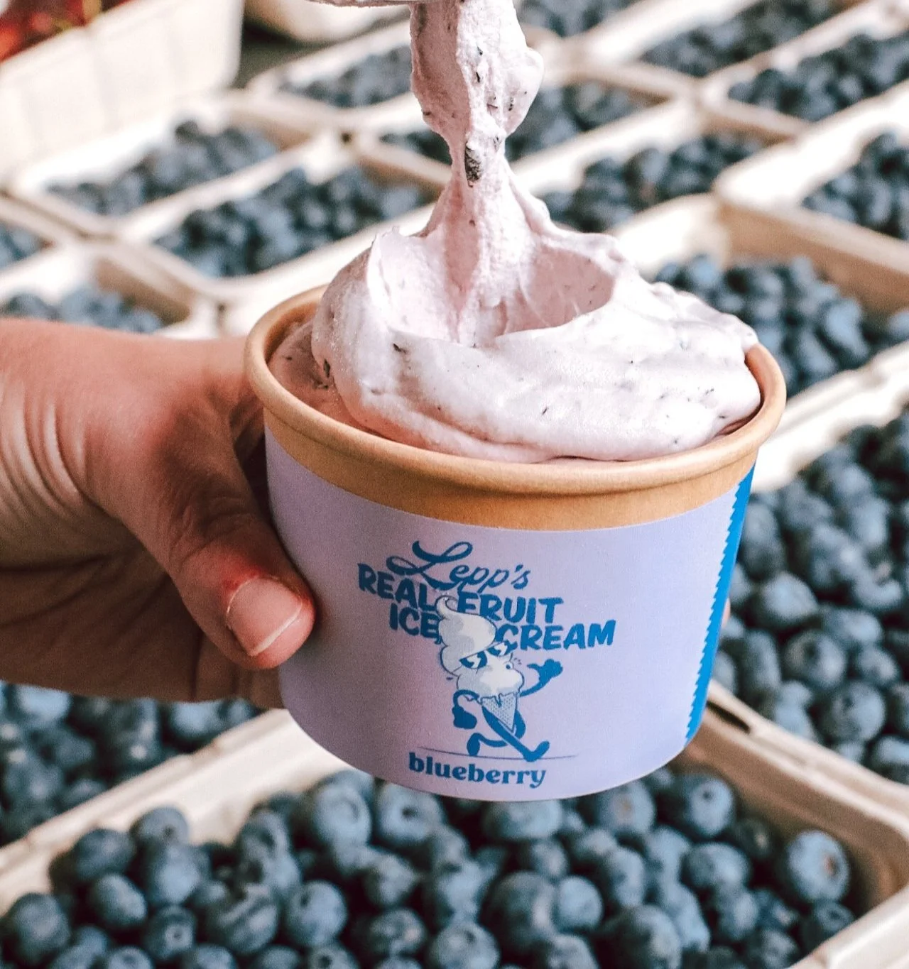 LeppsIceCream-Blueberry.jpg