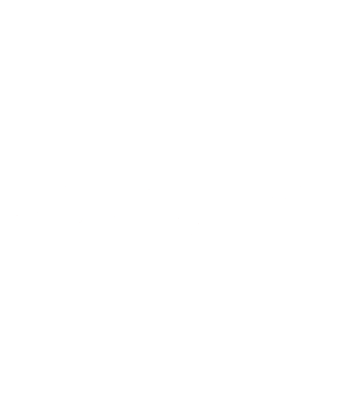 optum.png