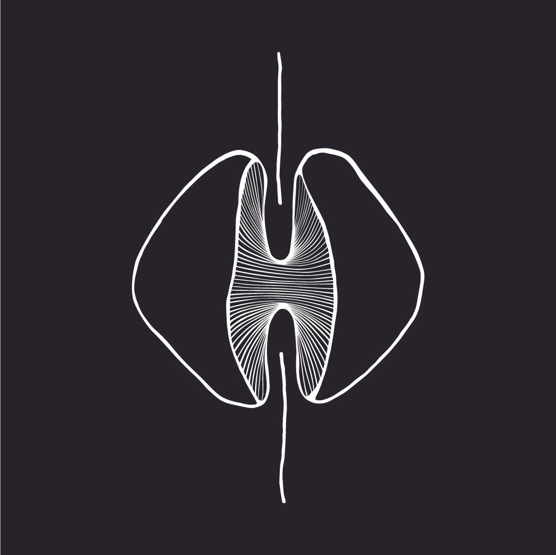 Zacs Logo-02.jpg