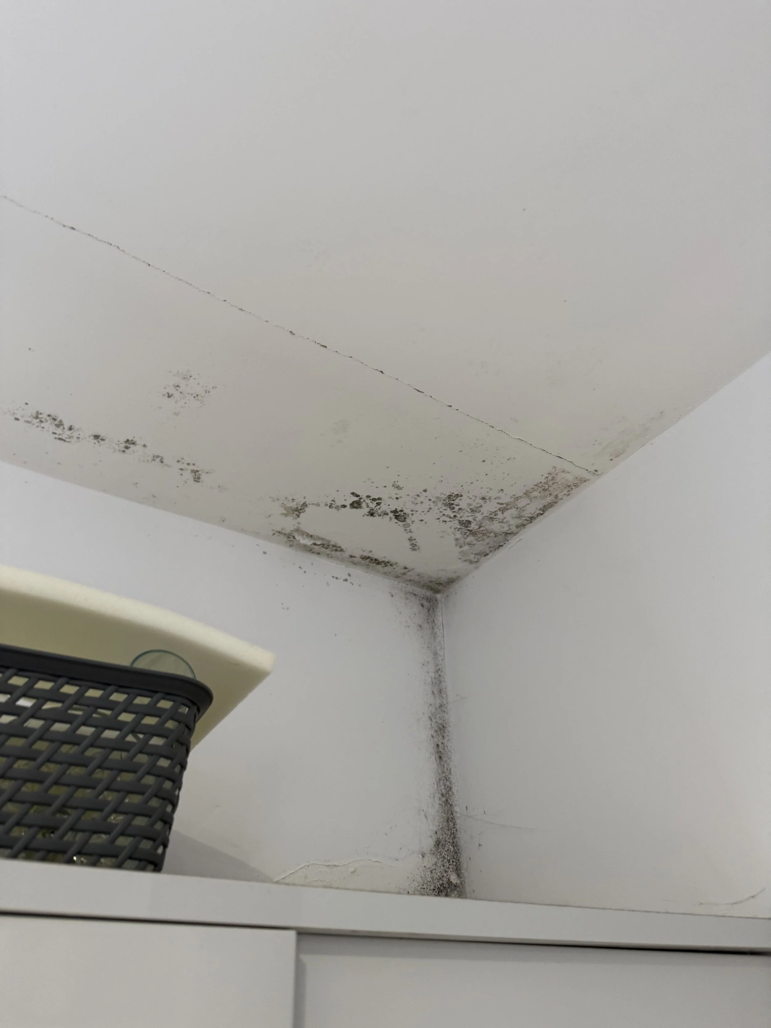 Independent damp survey being carried out at a property in Saundersfoot, Pembrokeshire