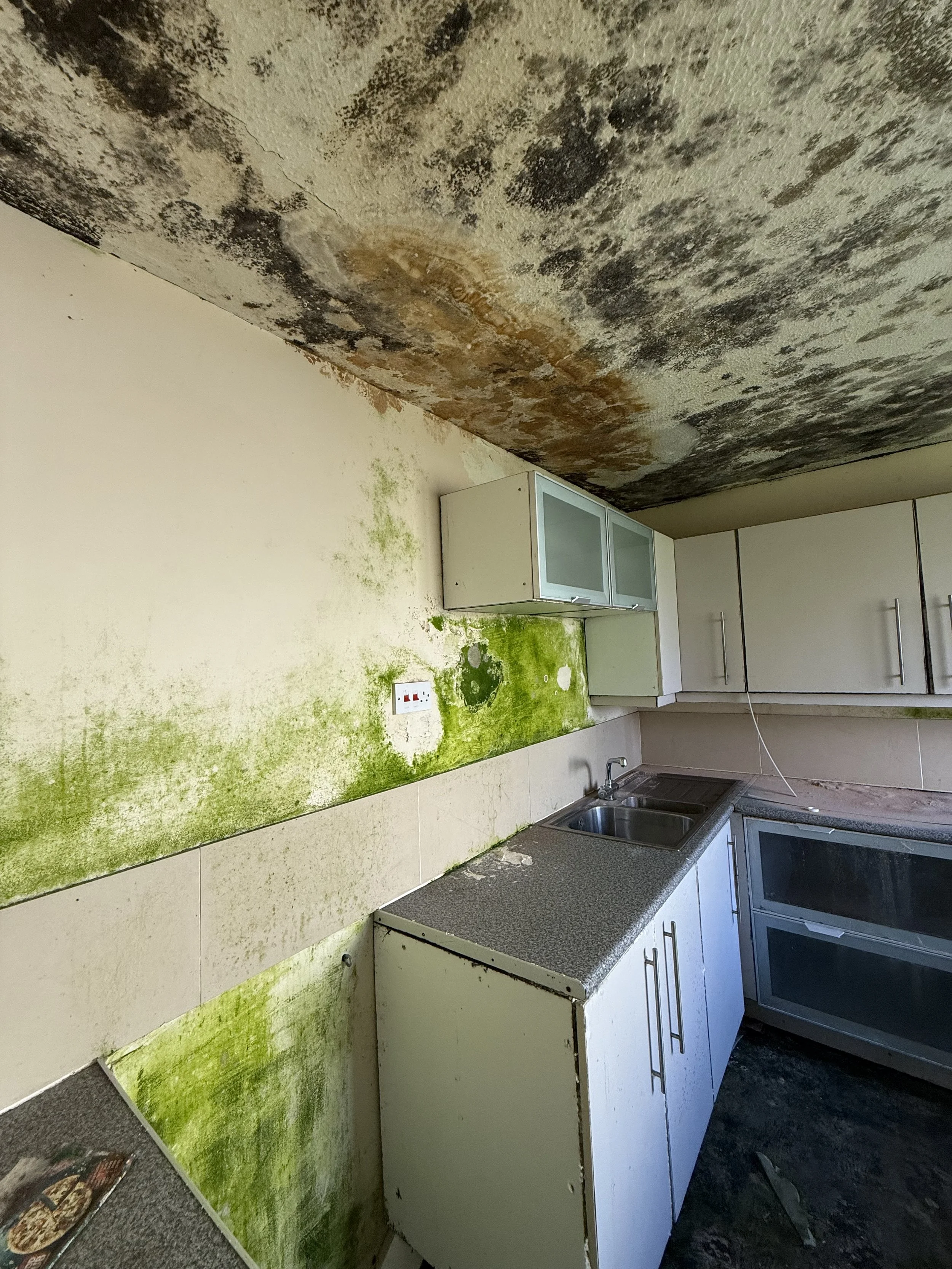 Independent damp survey being carried out at a property in Milford Haven Pembrokeshire