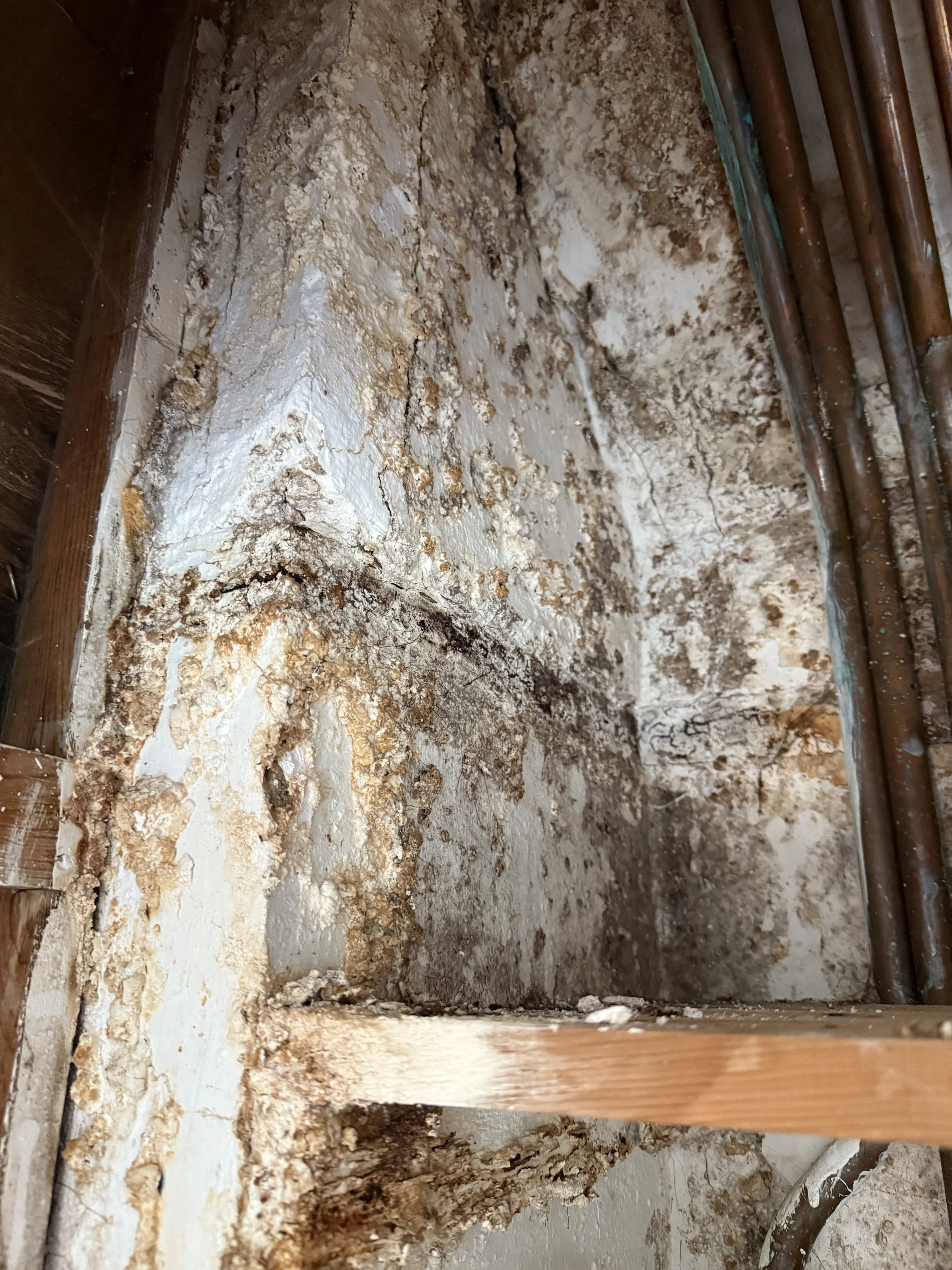 Independent damp survey being carried out at a property in Goodwick, Pembrokeshire