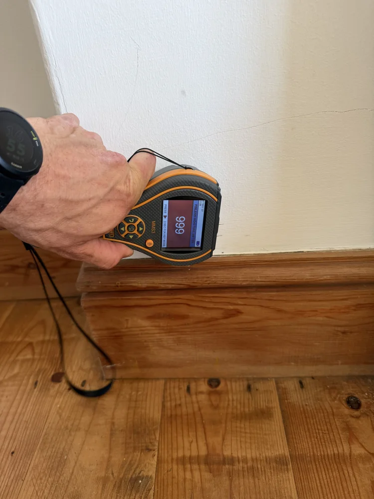 Independent damp survey being carried out at a property in St Davids Pembrokeshire