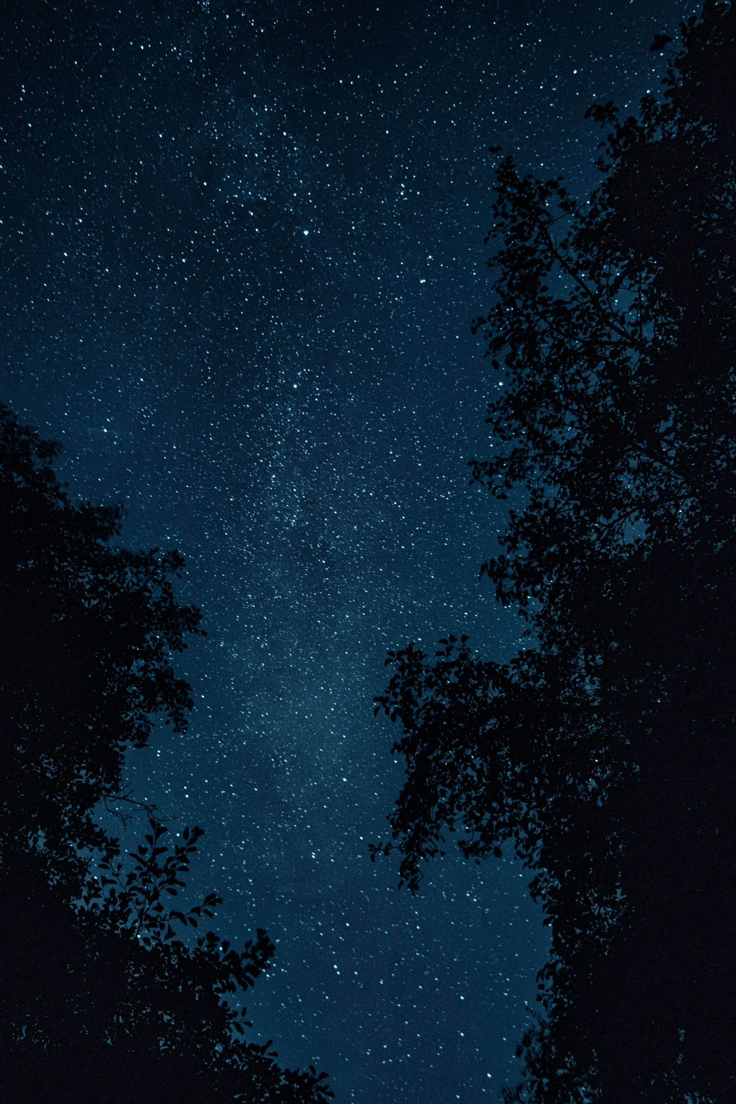 I Found a Way by James B. Nicola