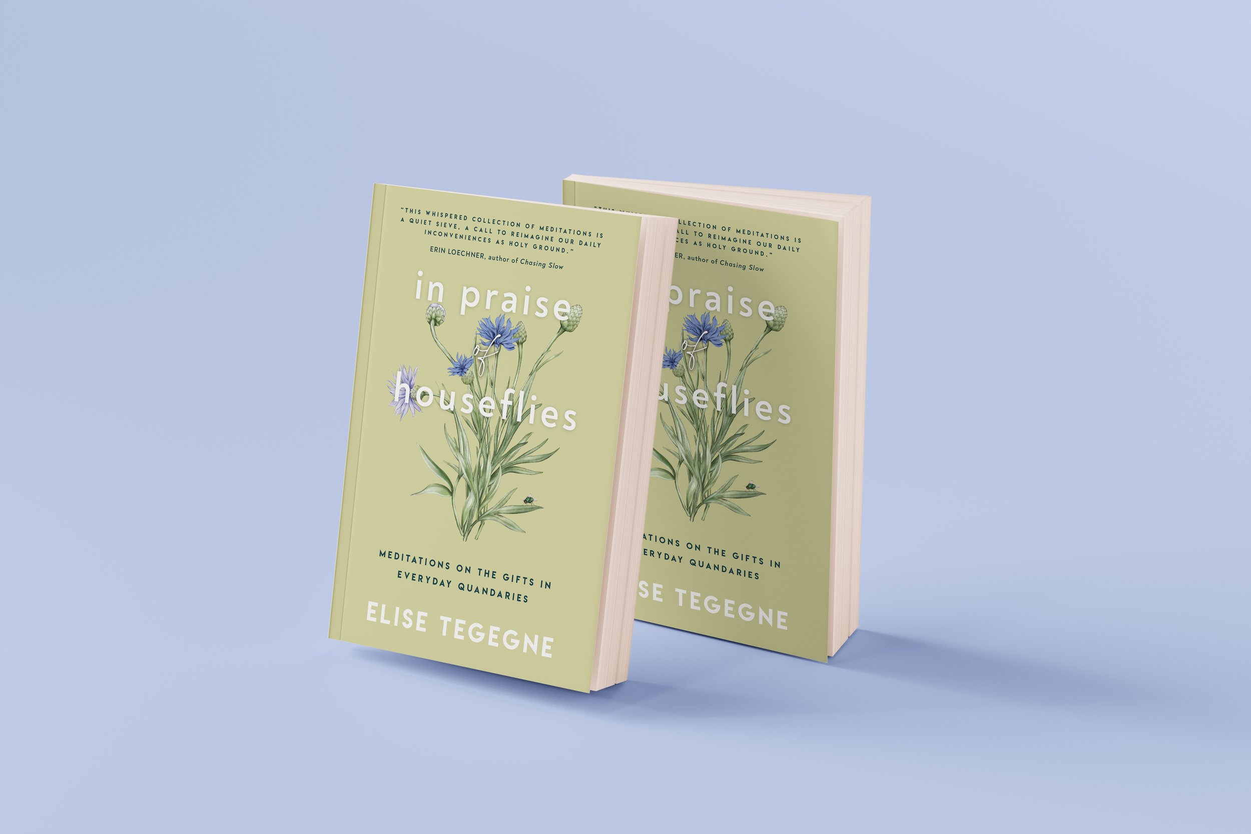 (PREORDER) In Praise of Houseflies by Elise Tegegne