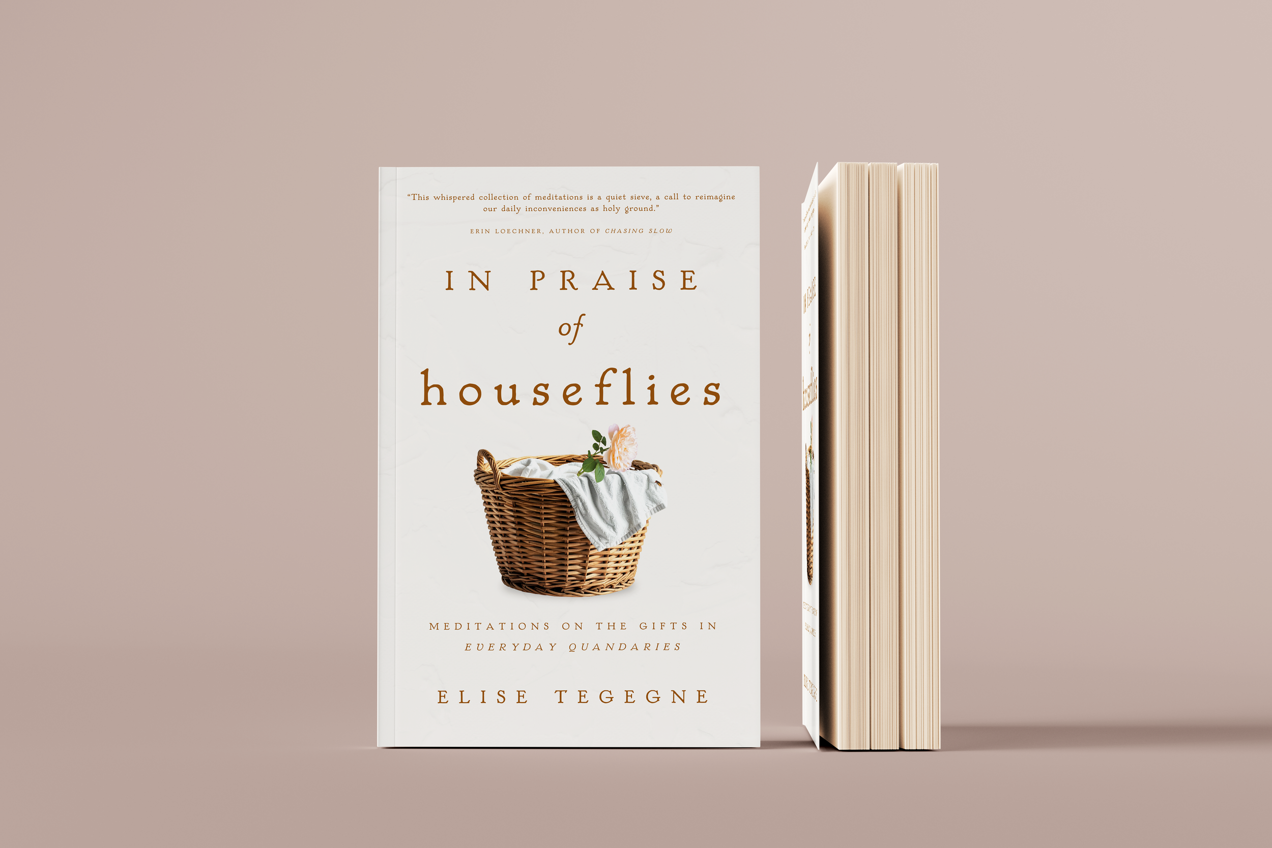 In Praise of Houseflies by Elise Tegegne
