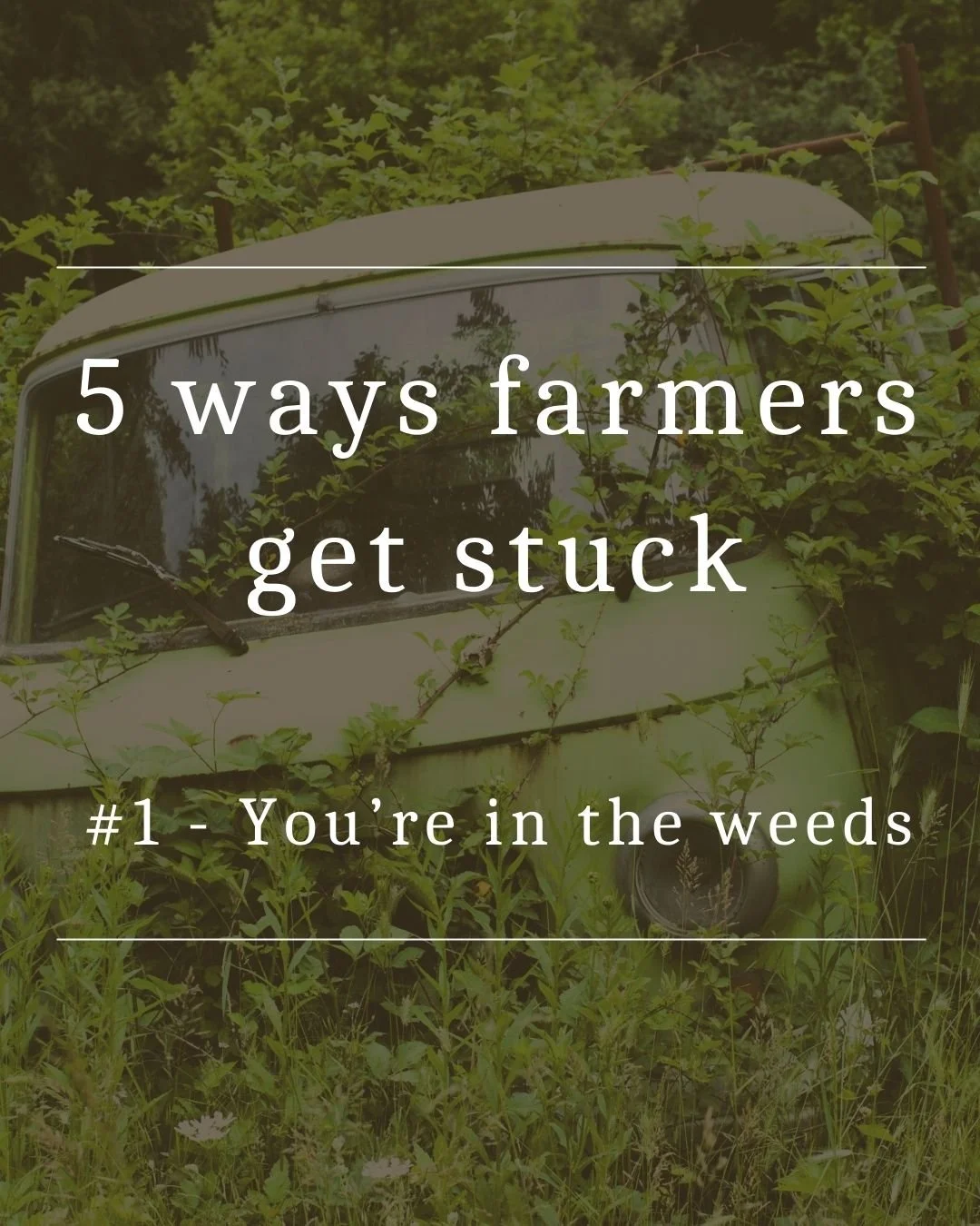 5 ways farmers get stuck - You’re in the weeds
