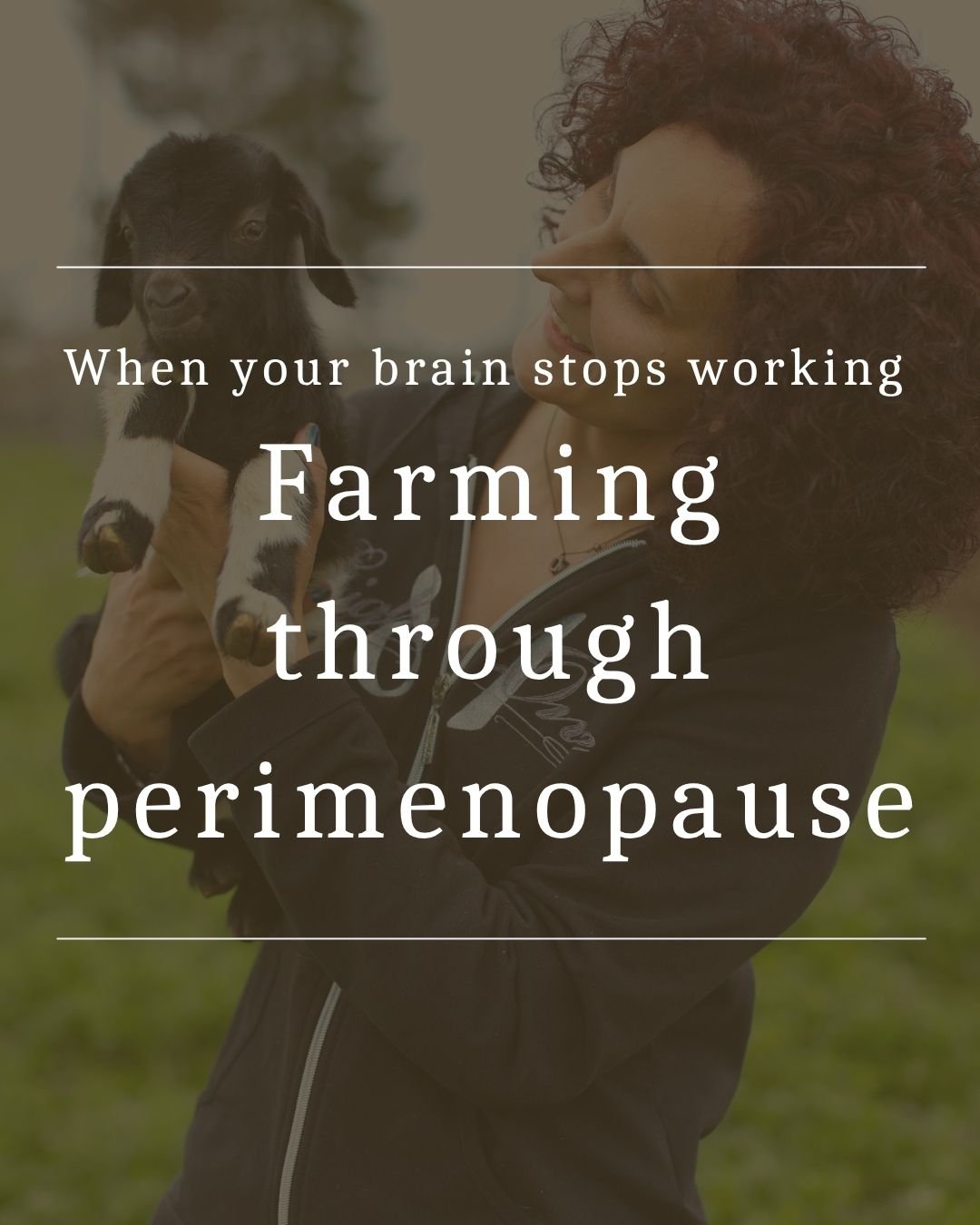 When your brain stops working -   Farming through perimenopause