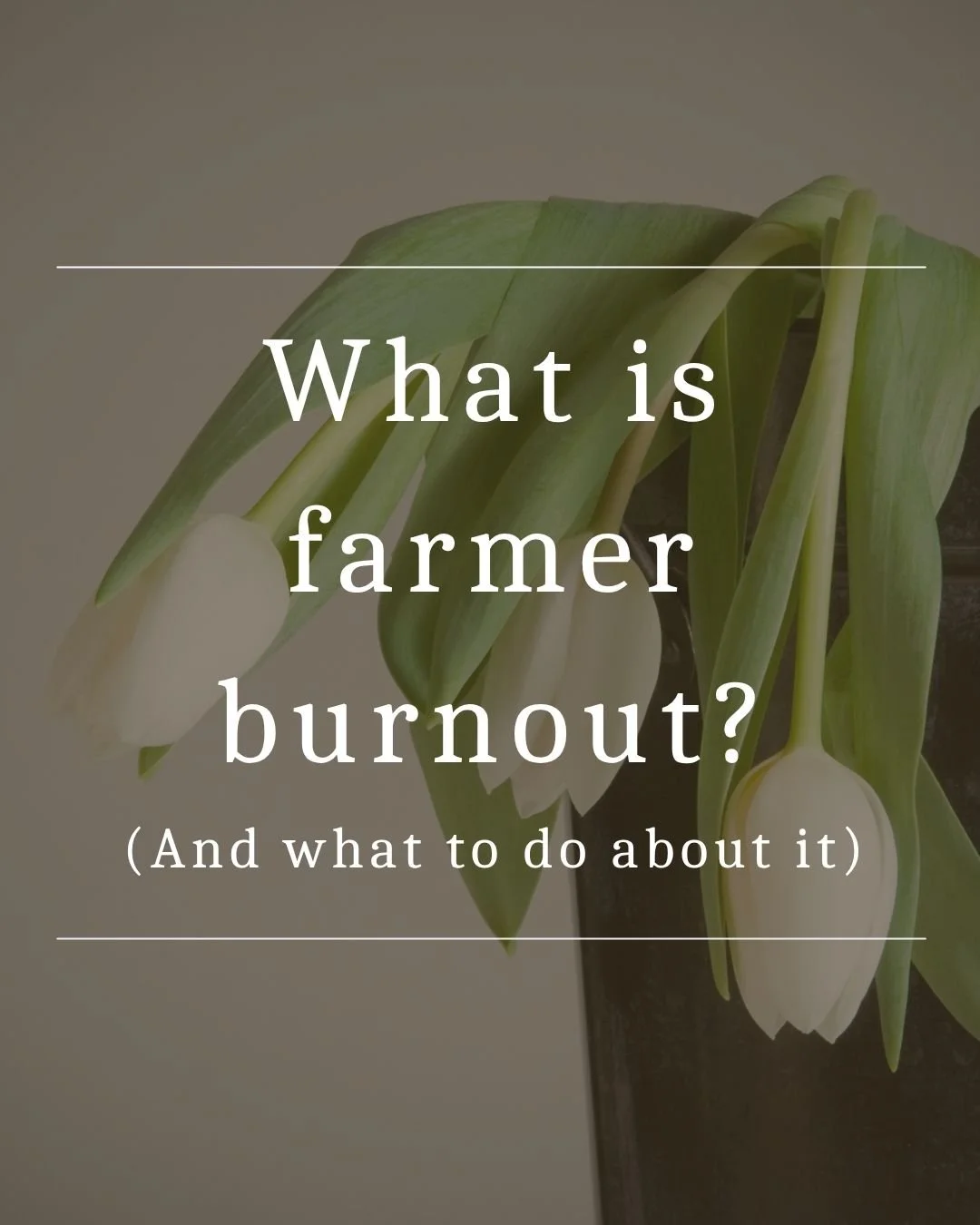 What is farmer burnout (and what to do about it)