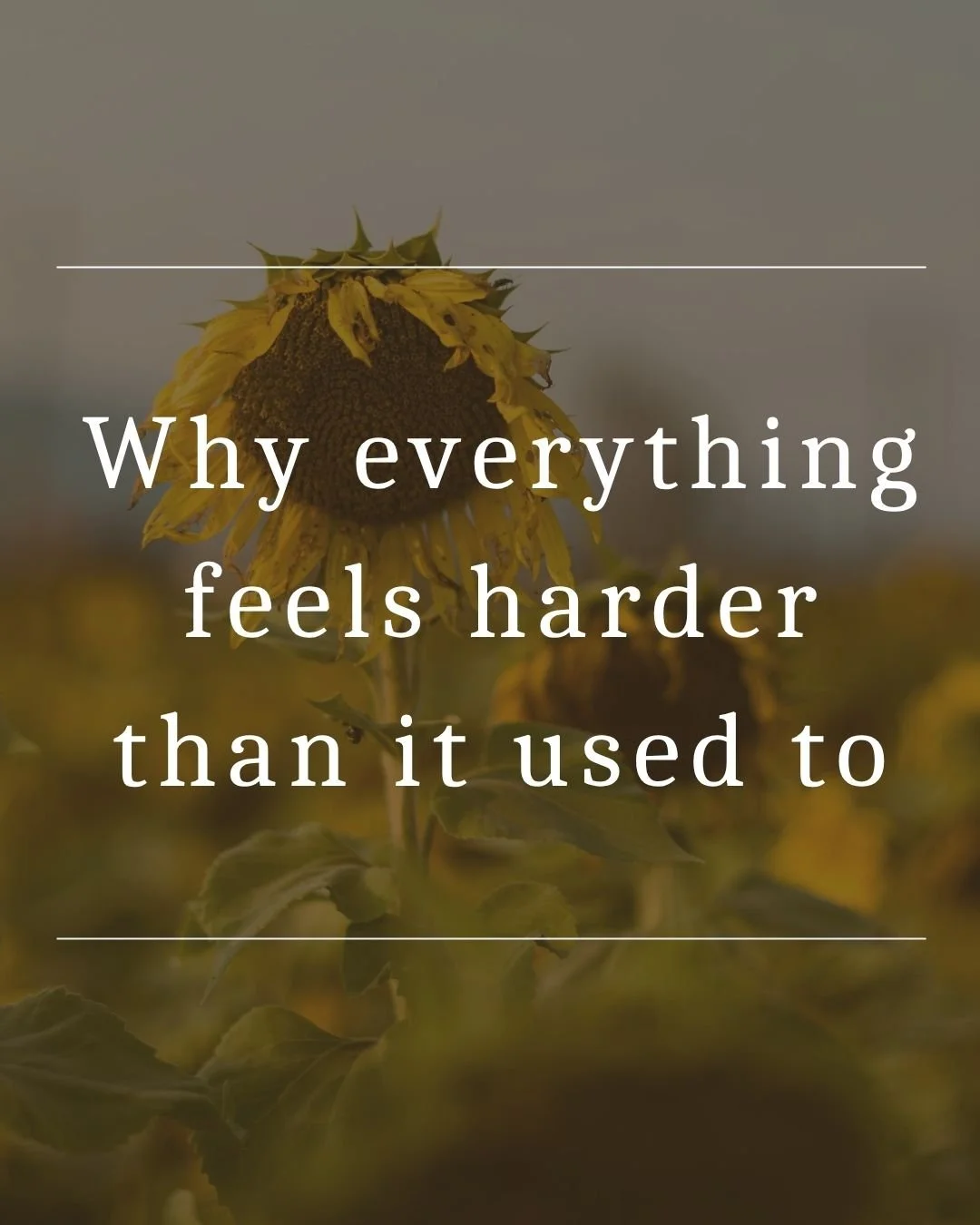 Why farming feels harder than it used to