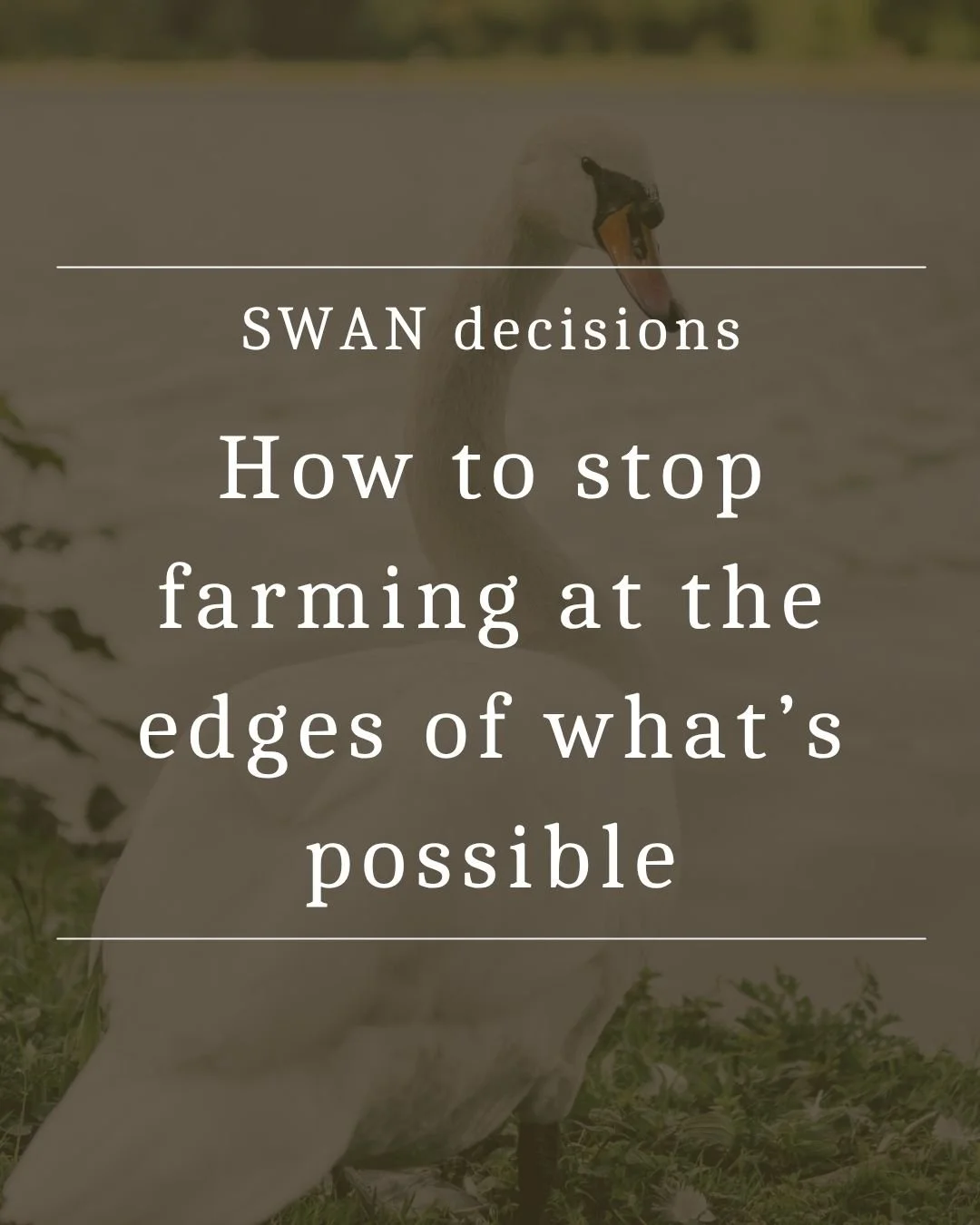 SWAN decisions: How to stop farming at the edges of what's possible