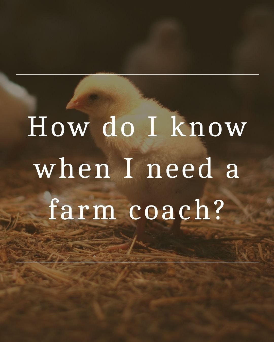 How do I know when I need a farm coach?