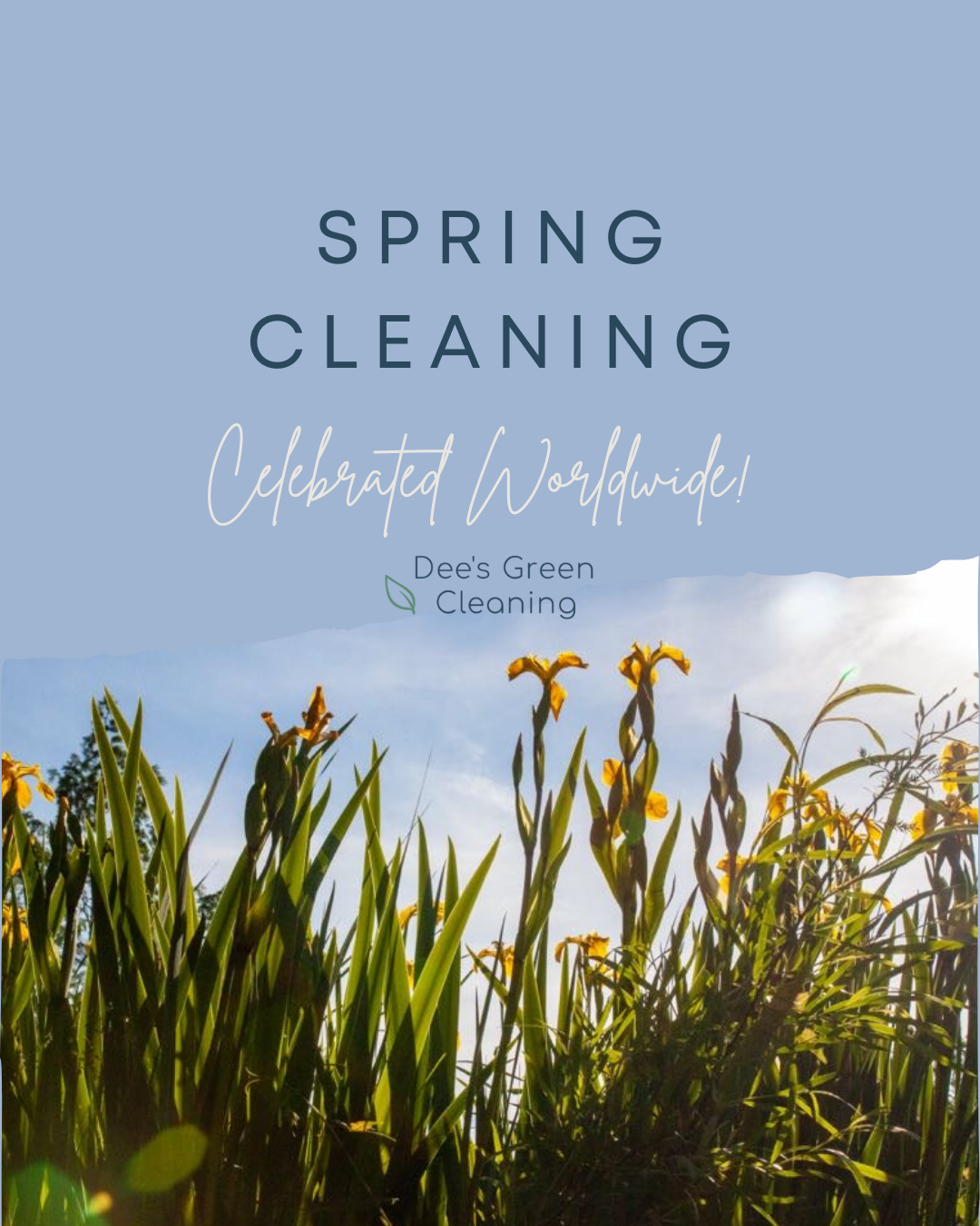 Spring Cleaning: A Worldwide Tradition 🌍