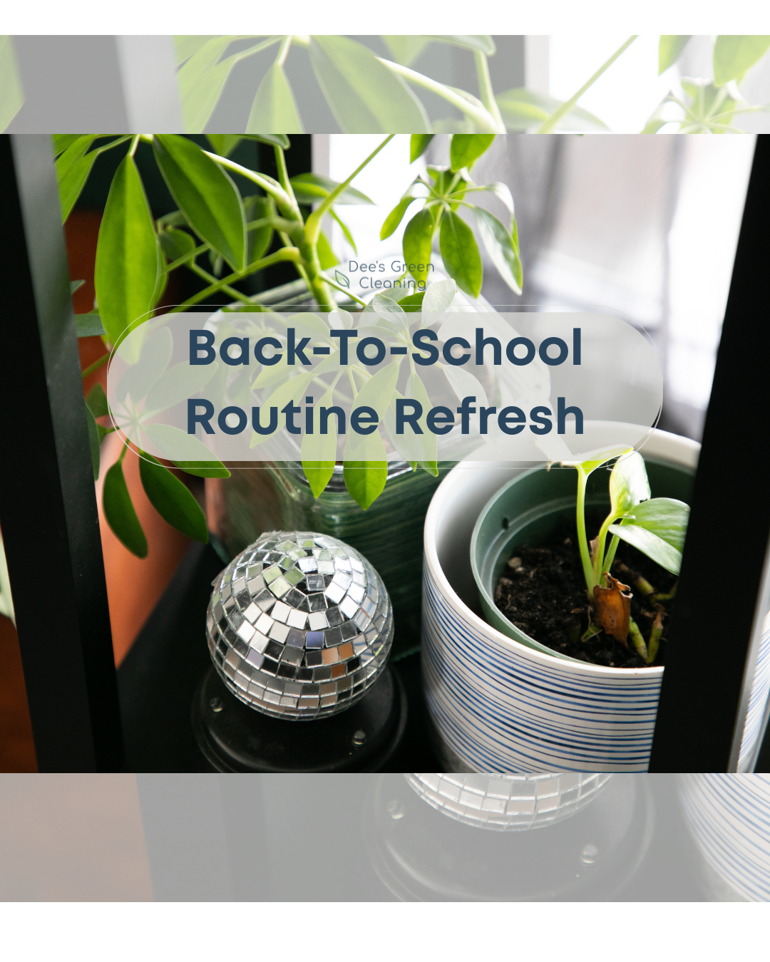 Back-To-School Routine Refresh