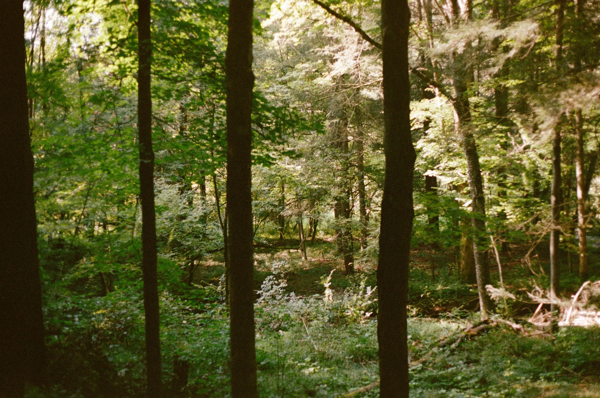 20241021-000024240031.jpg