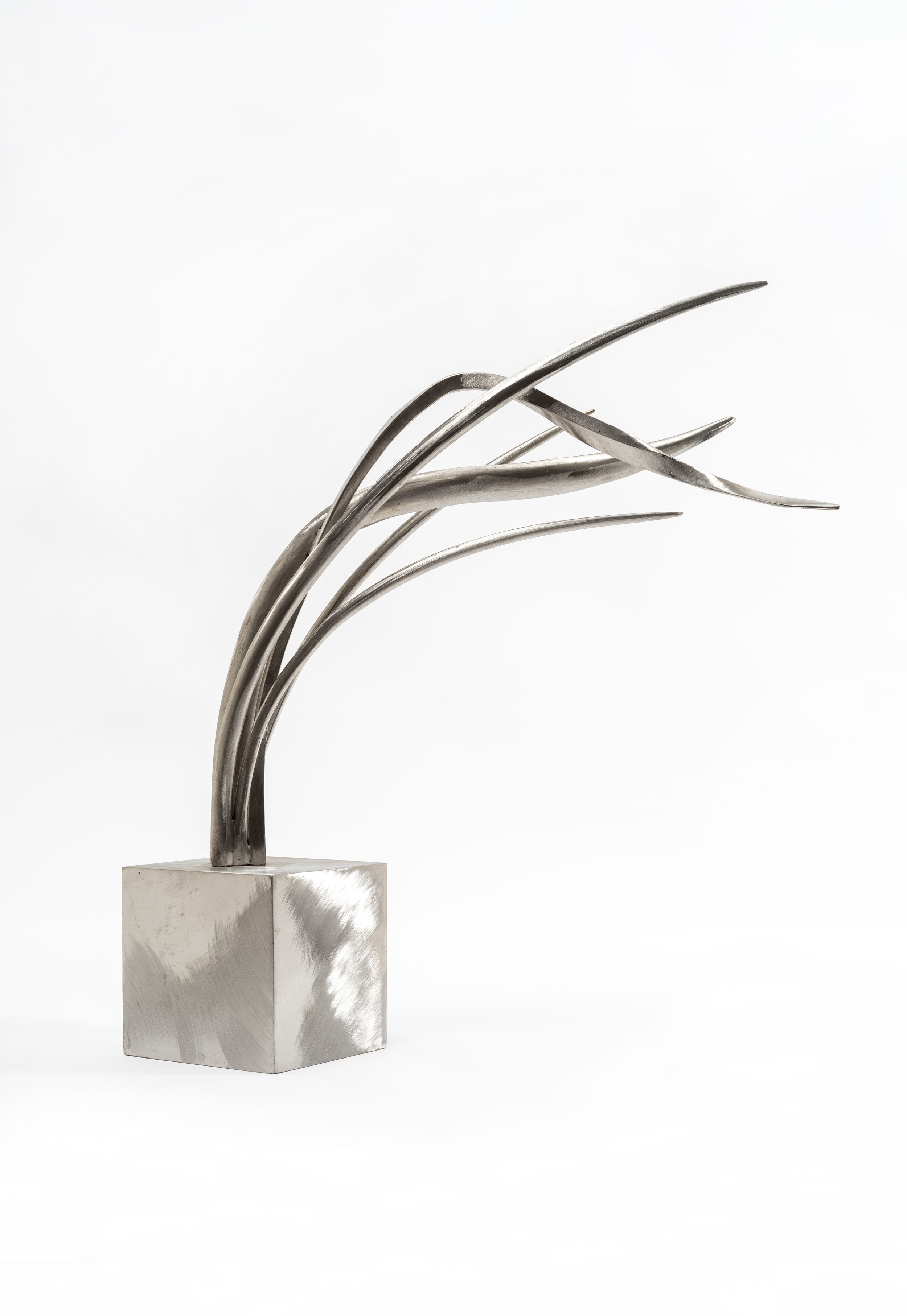 Large Grasses