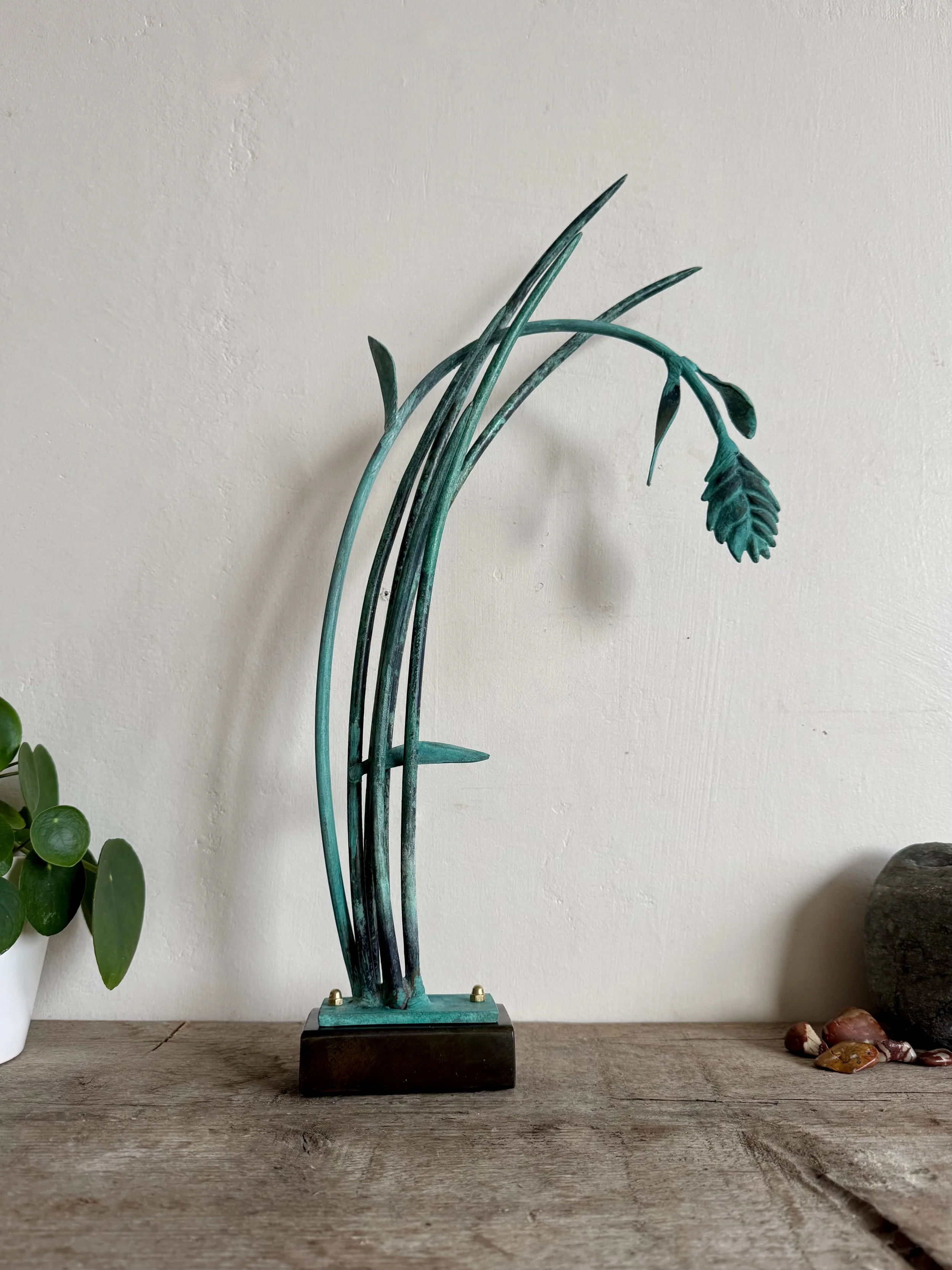 Inland Sea Oats1.jpeg