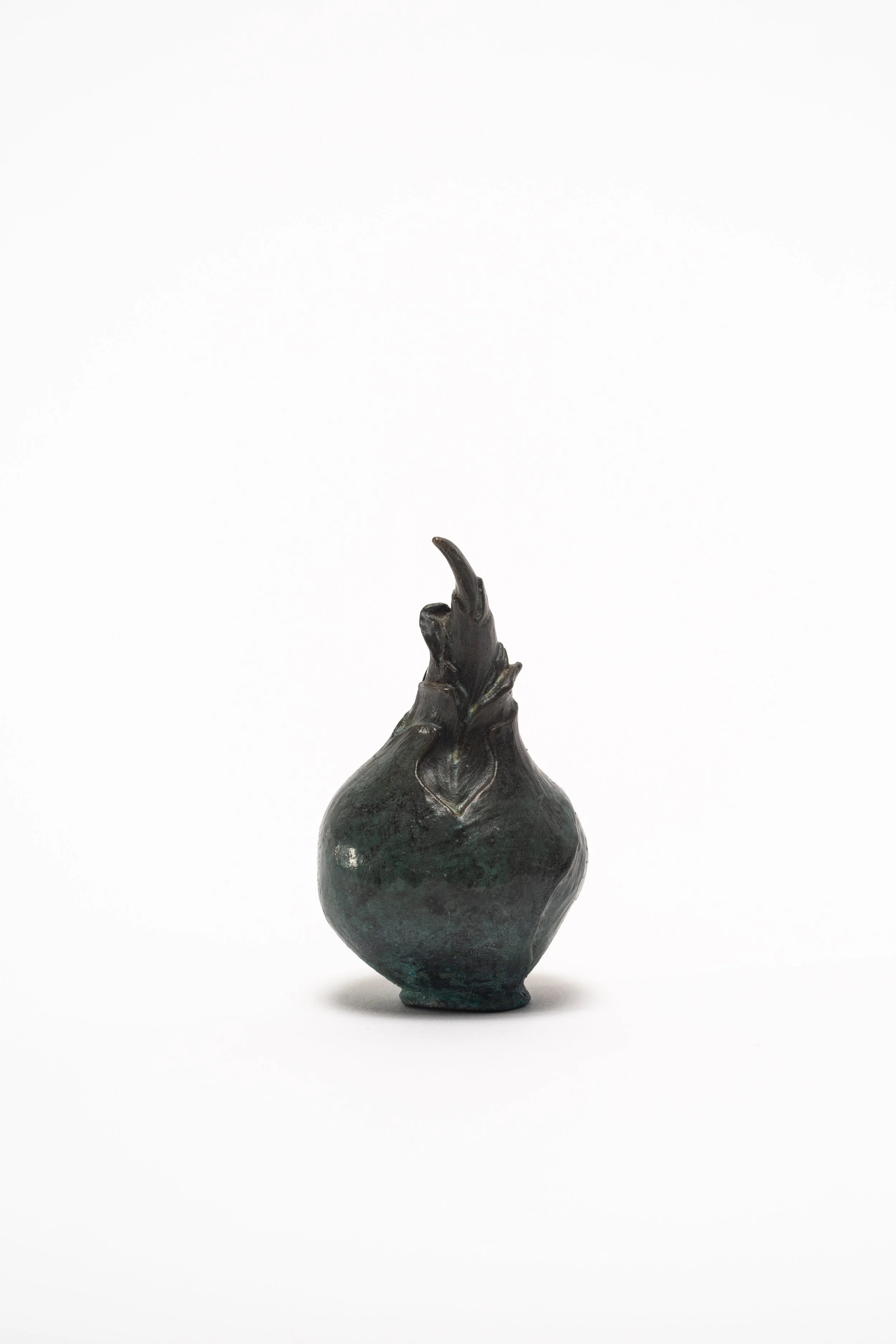Growth Tulip Bulb