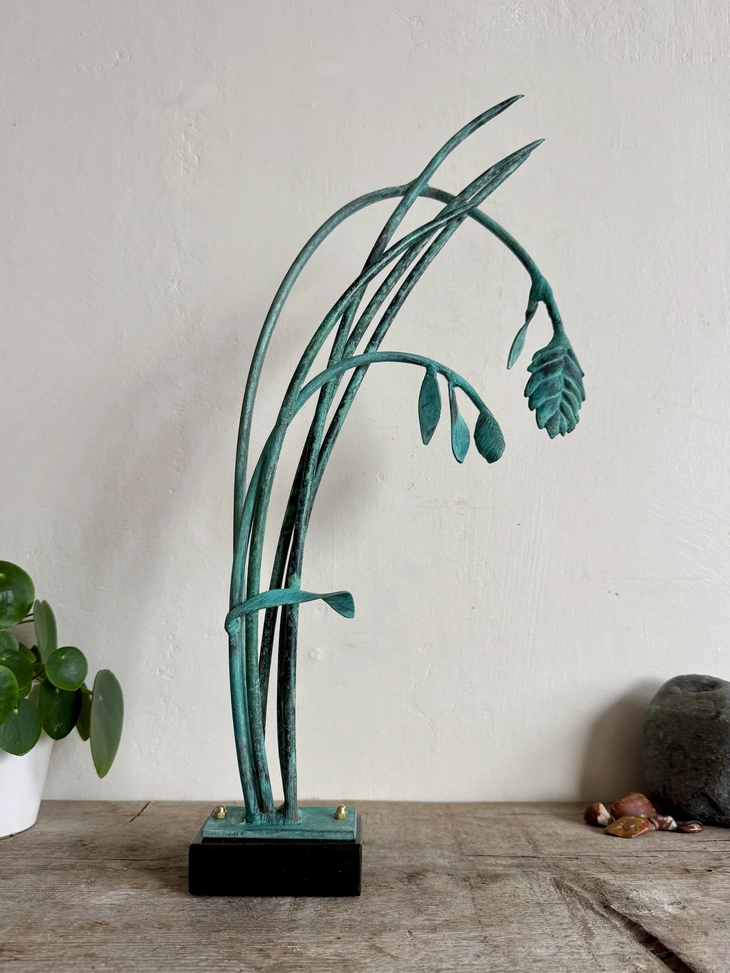 Inland SeaOats3.jpeg