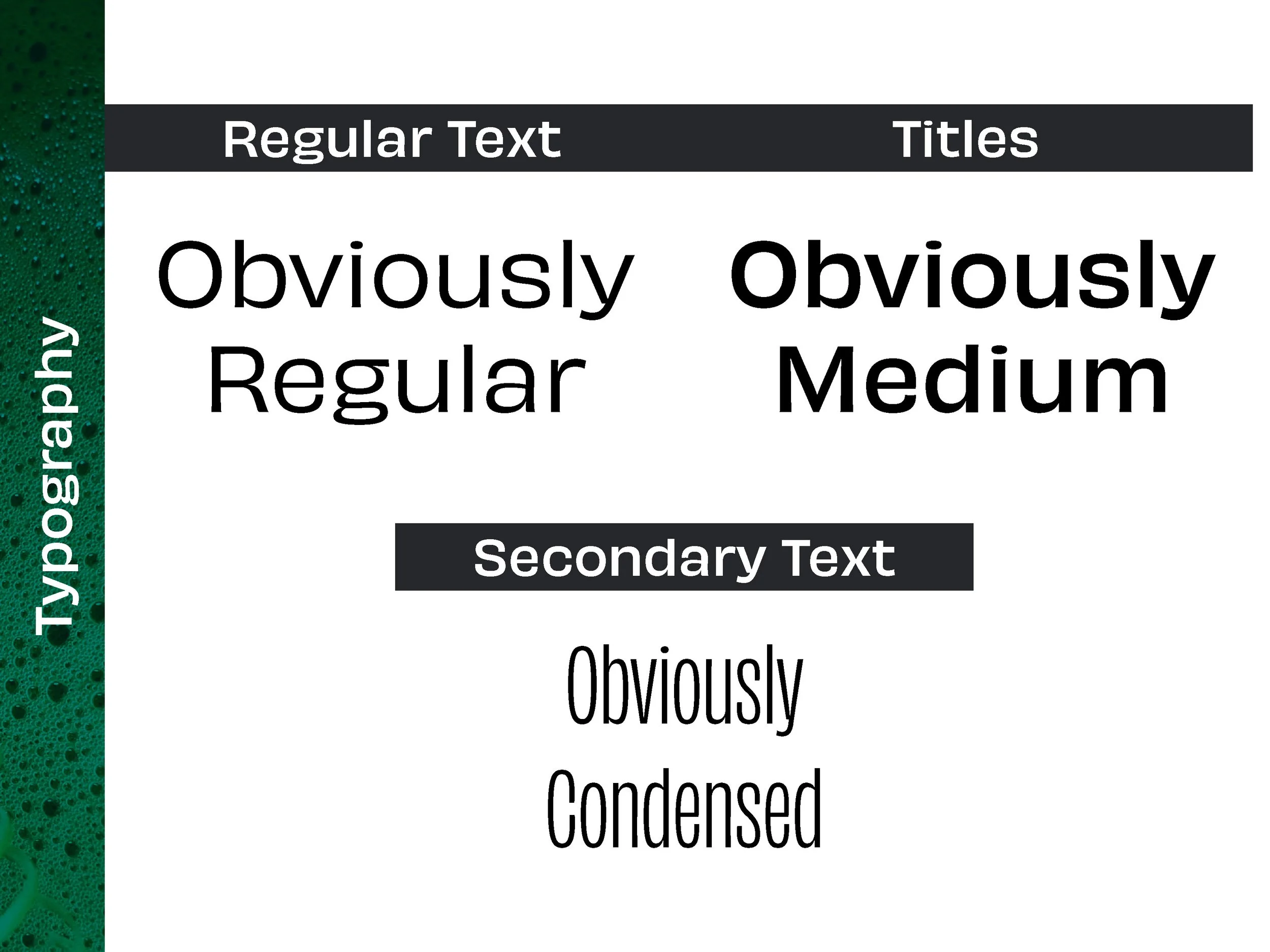 graphic elements3.jpg