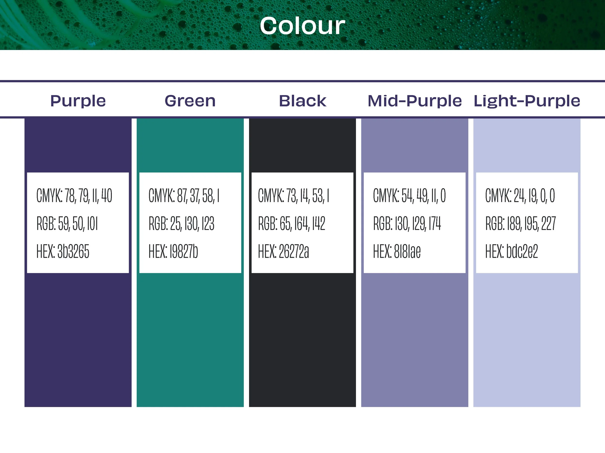 graphic elements2.jpg