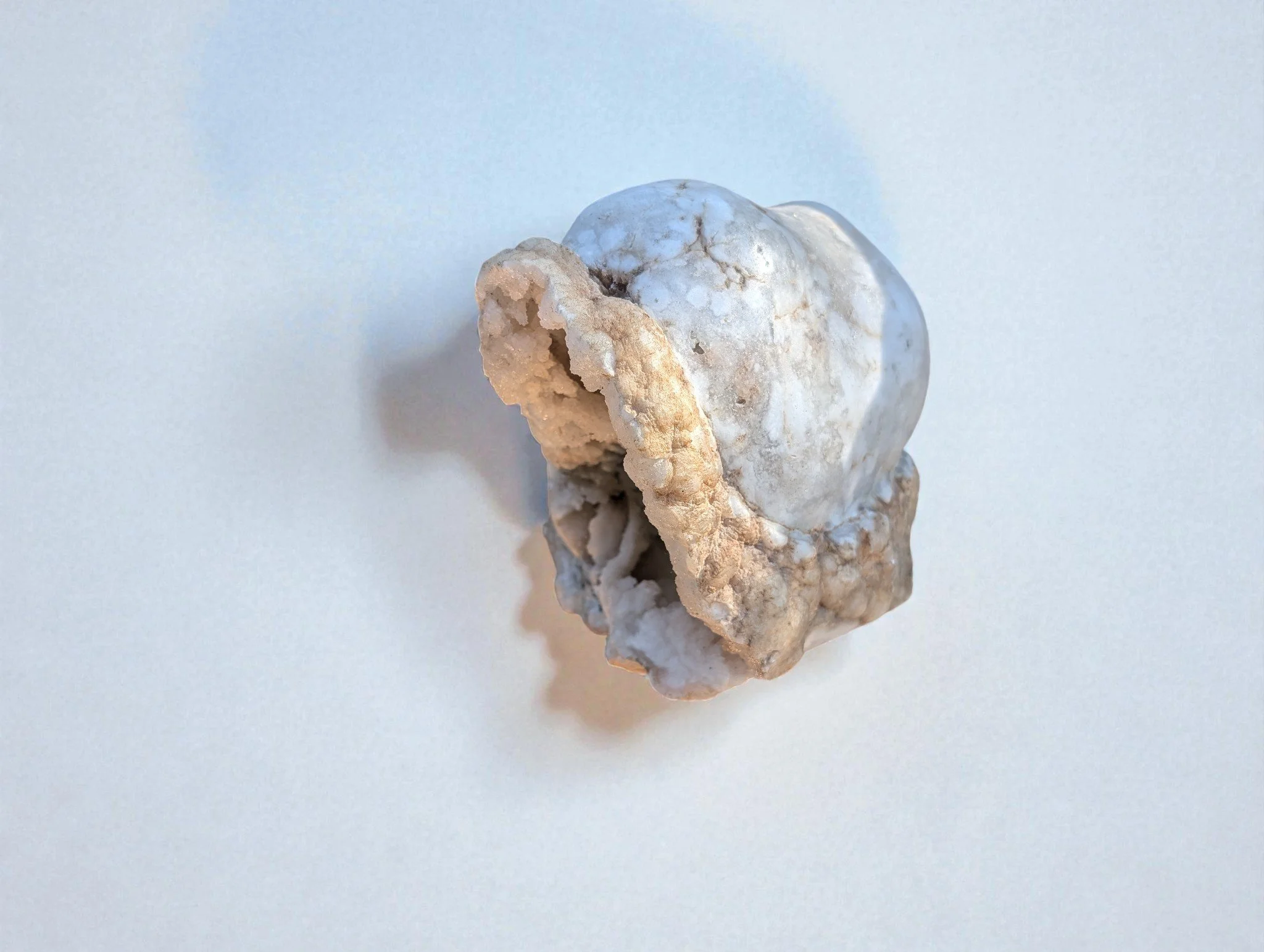 Mustang Ranch Geo (1).jpg