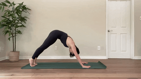 Moving from a plank to a downdog